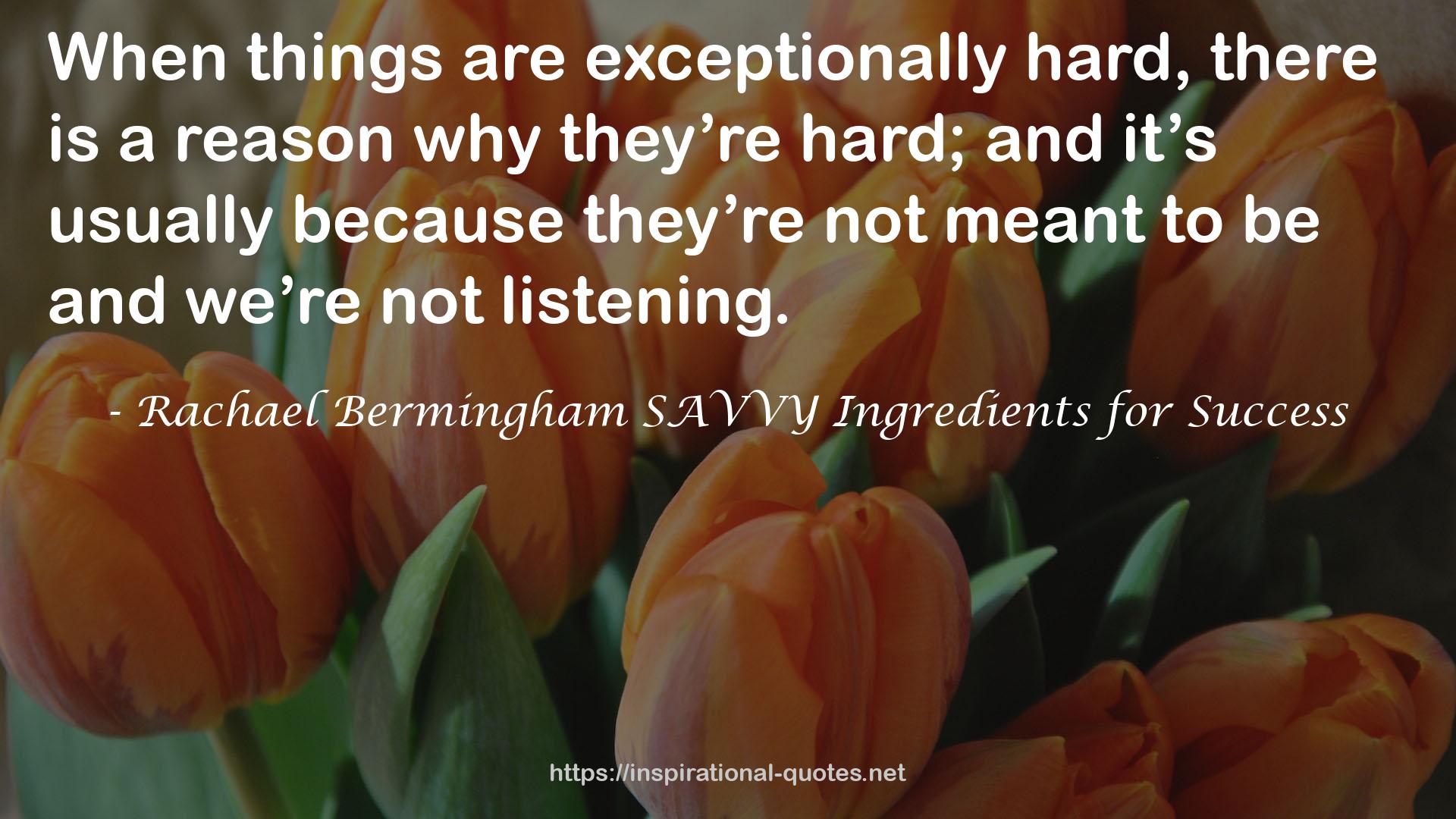 Rachael Bermingham SAVVY Ingredients for Success QUOTES