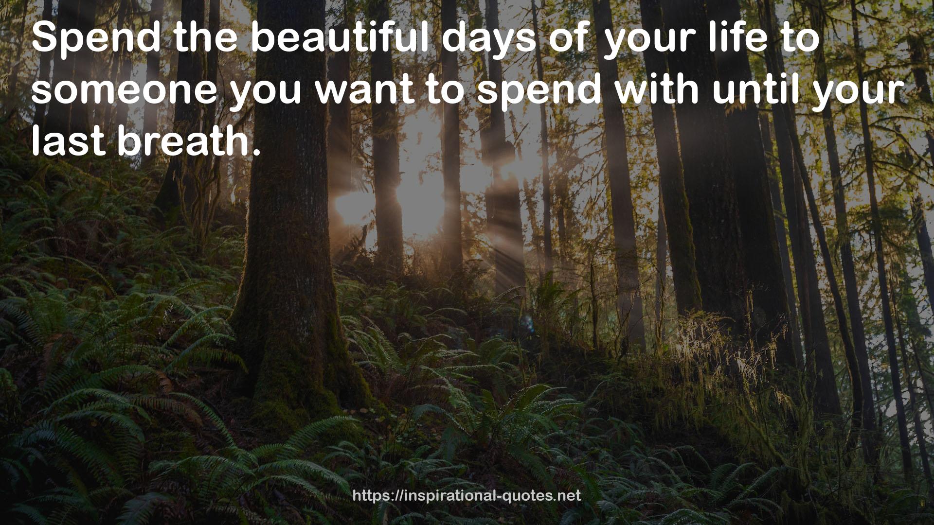 the beautiful days  QUOTES