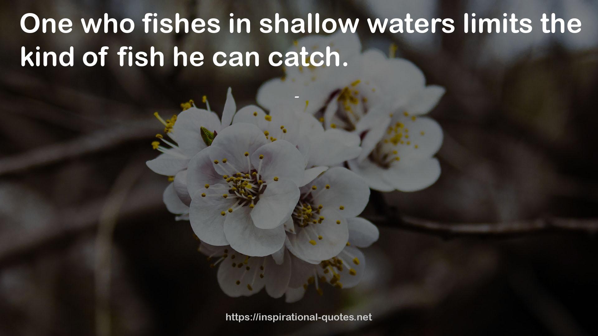 shallow waters  QUOTES