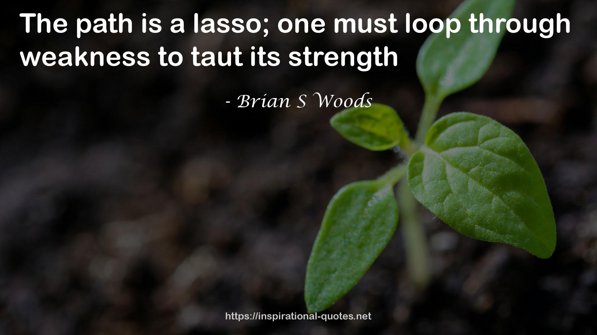 Brian S Woods QUOTES