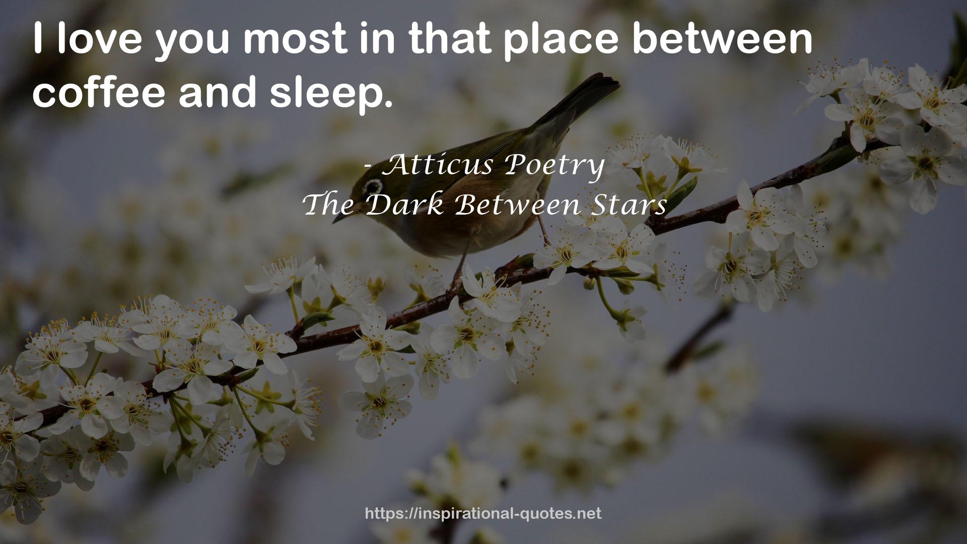 The Dark Between Stars QUOTES