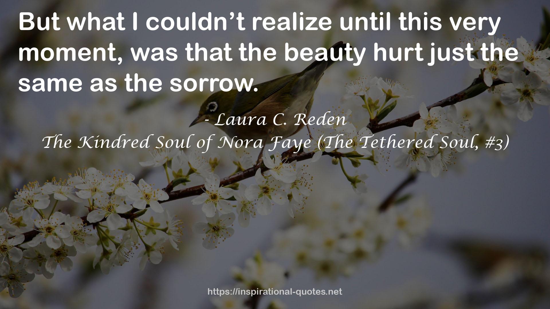The Kindred Soul of Nora Faye (The Tethered Soul, #3) QUOTES