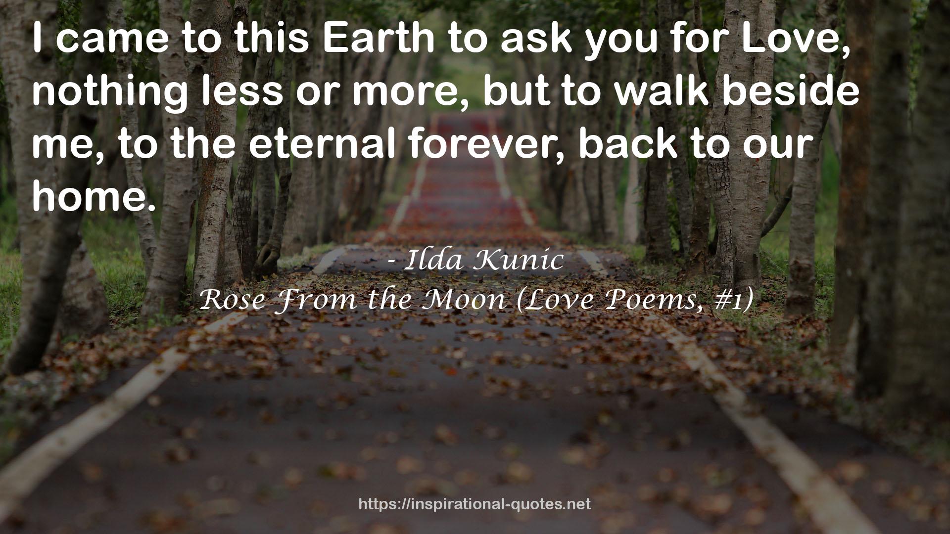 Rose From the Moon (Love Poems, #1) QUOTES