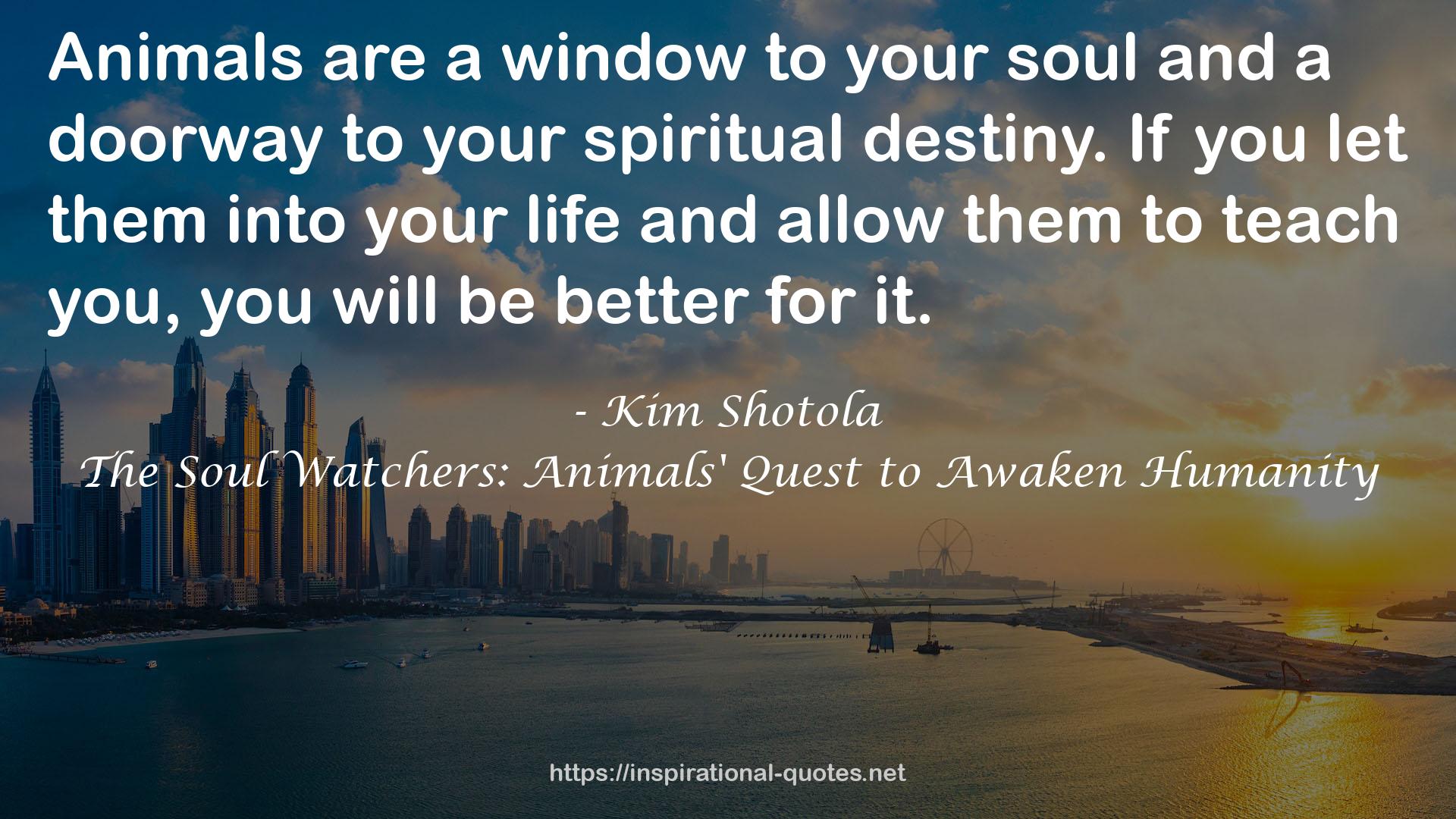 Kim Shotola QUOTES