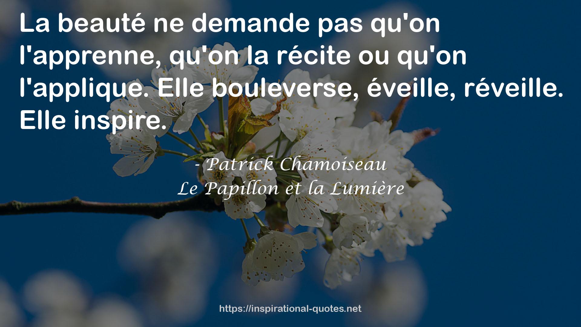 Patrick Chamoiseau QUOTES