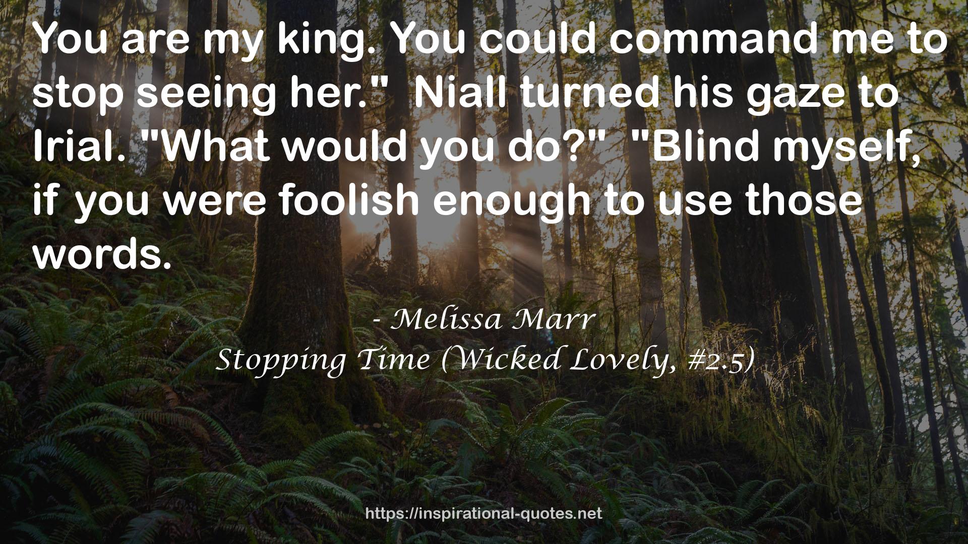 Stopping Time (Wicked Lovely, #2.5) QUOTES