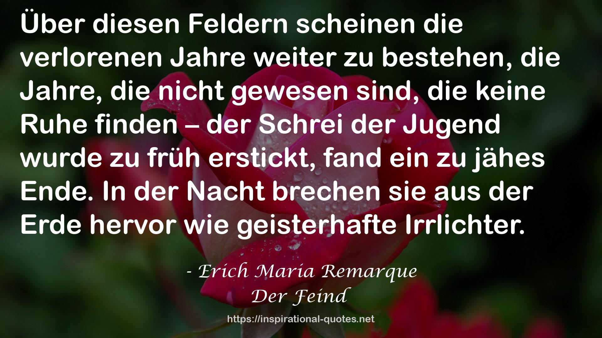 Der Feind QUOTES