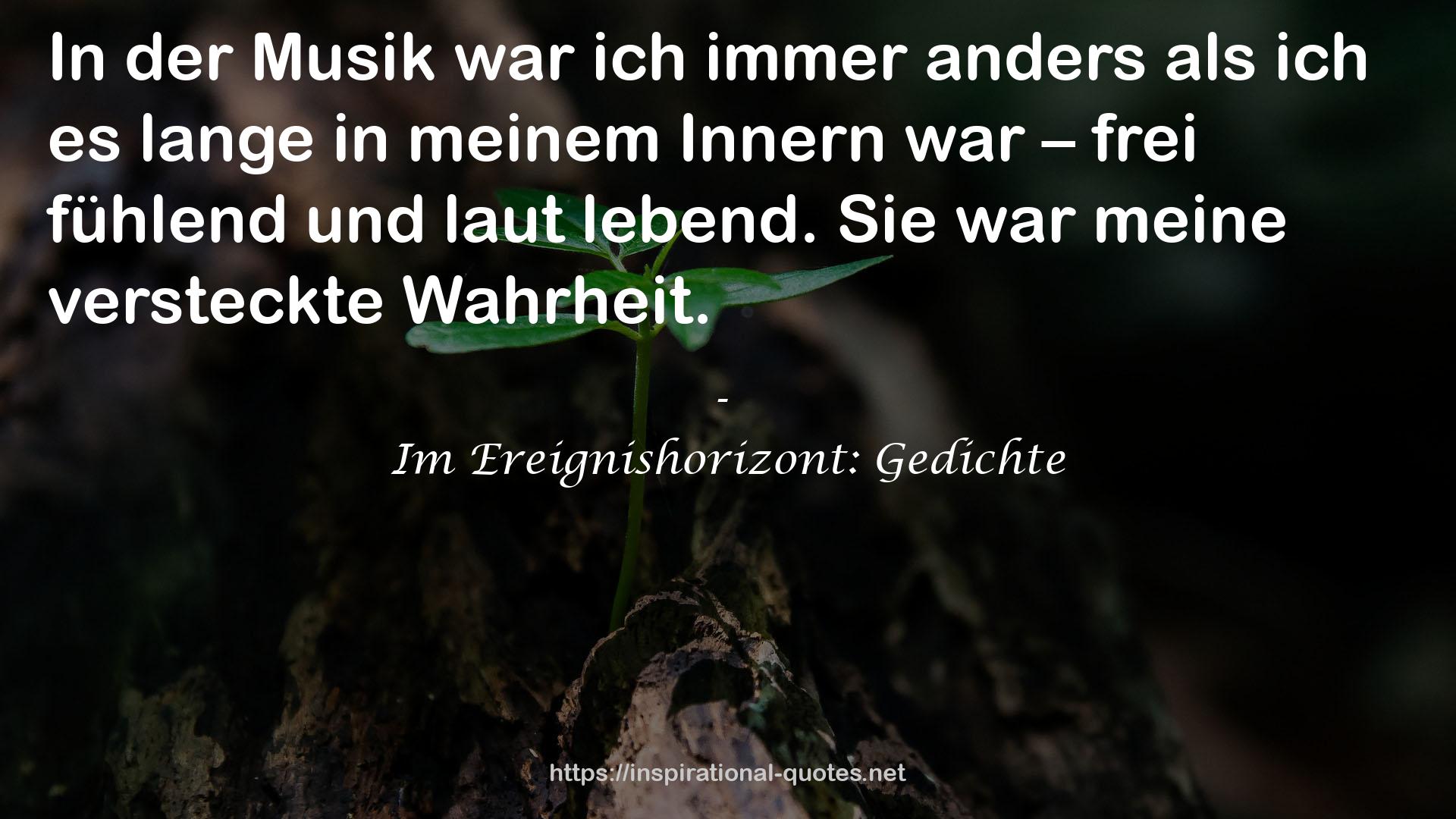 Im Ereignishorizont: Gedichte QUOTES