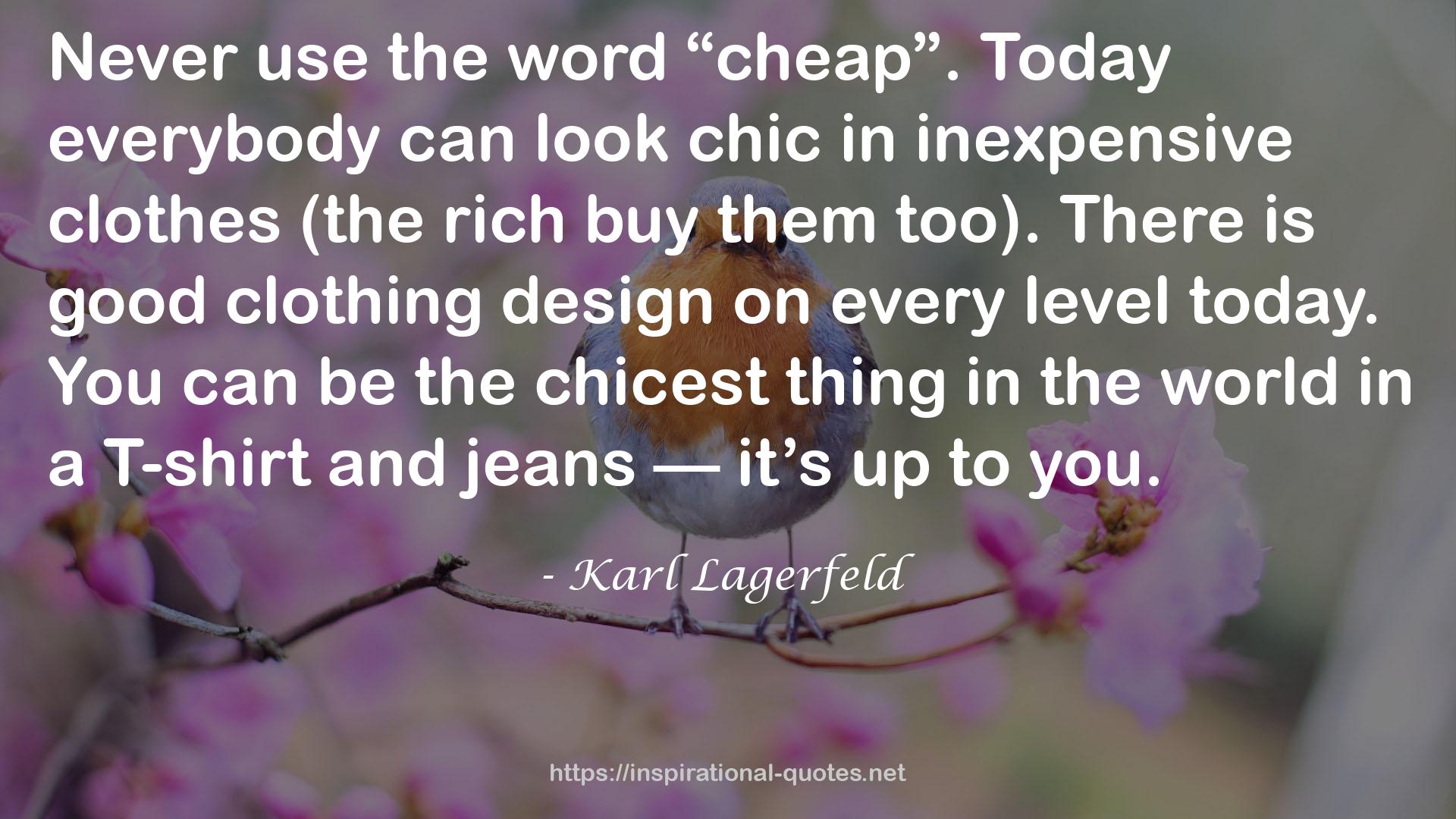 inexpensive clothes  QUOTES