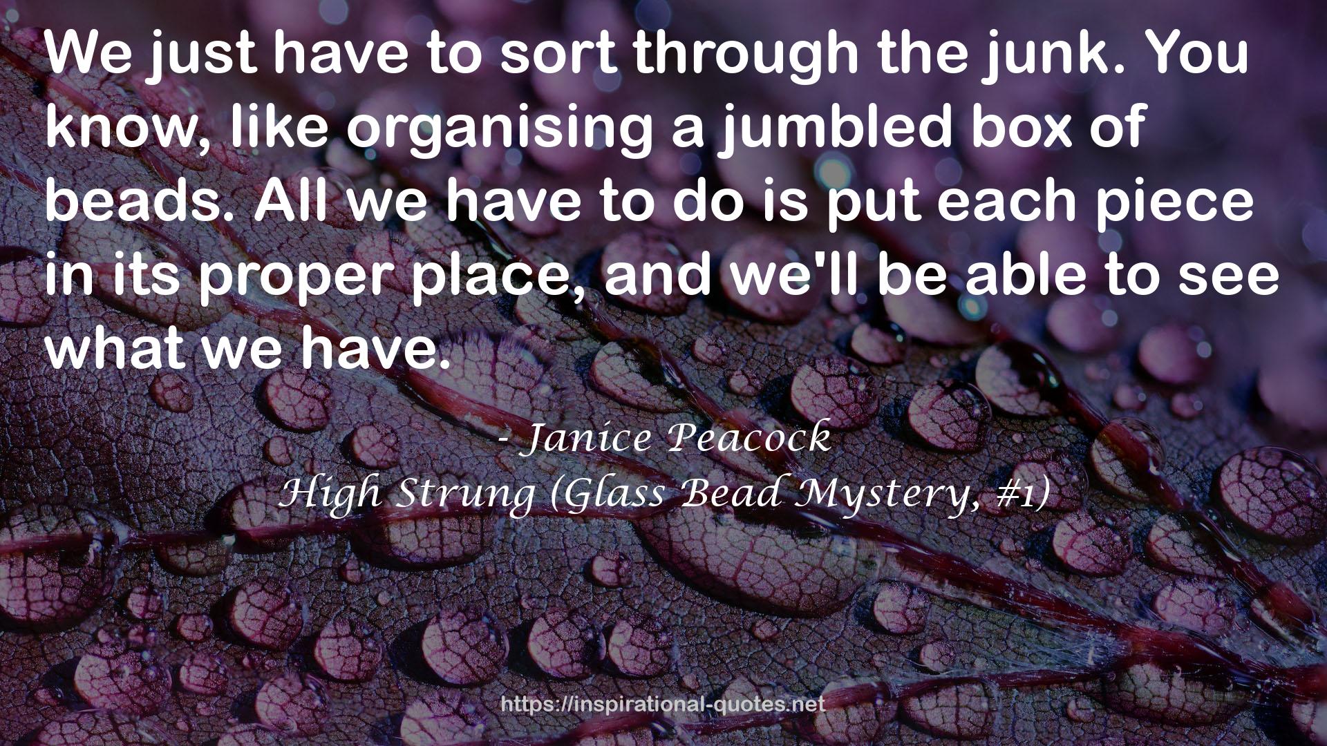 High Strung (Glass Bead Mystery, #1) QUOTES