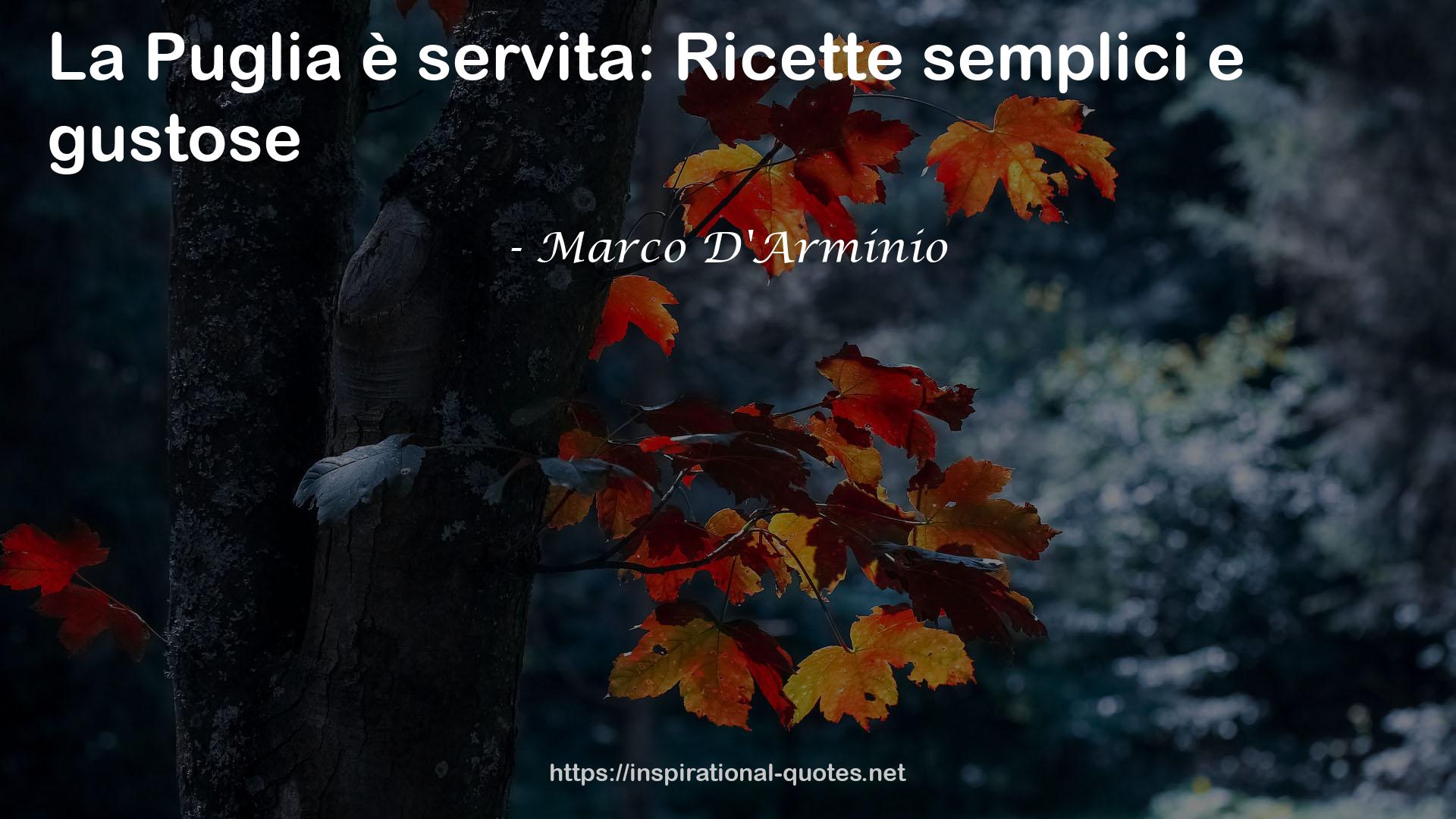 Marco D'Arminio QUOTES