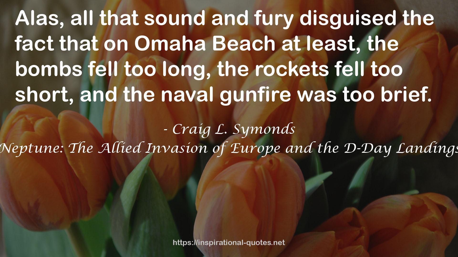 Neptune: The Allied Invasion of Europe and the D-Day Landings QUOTES