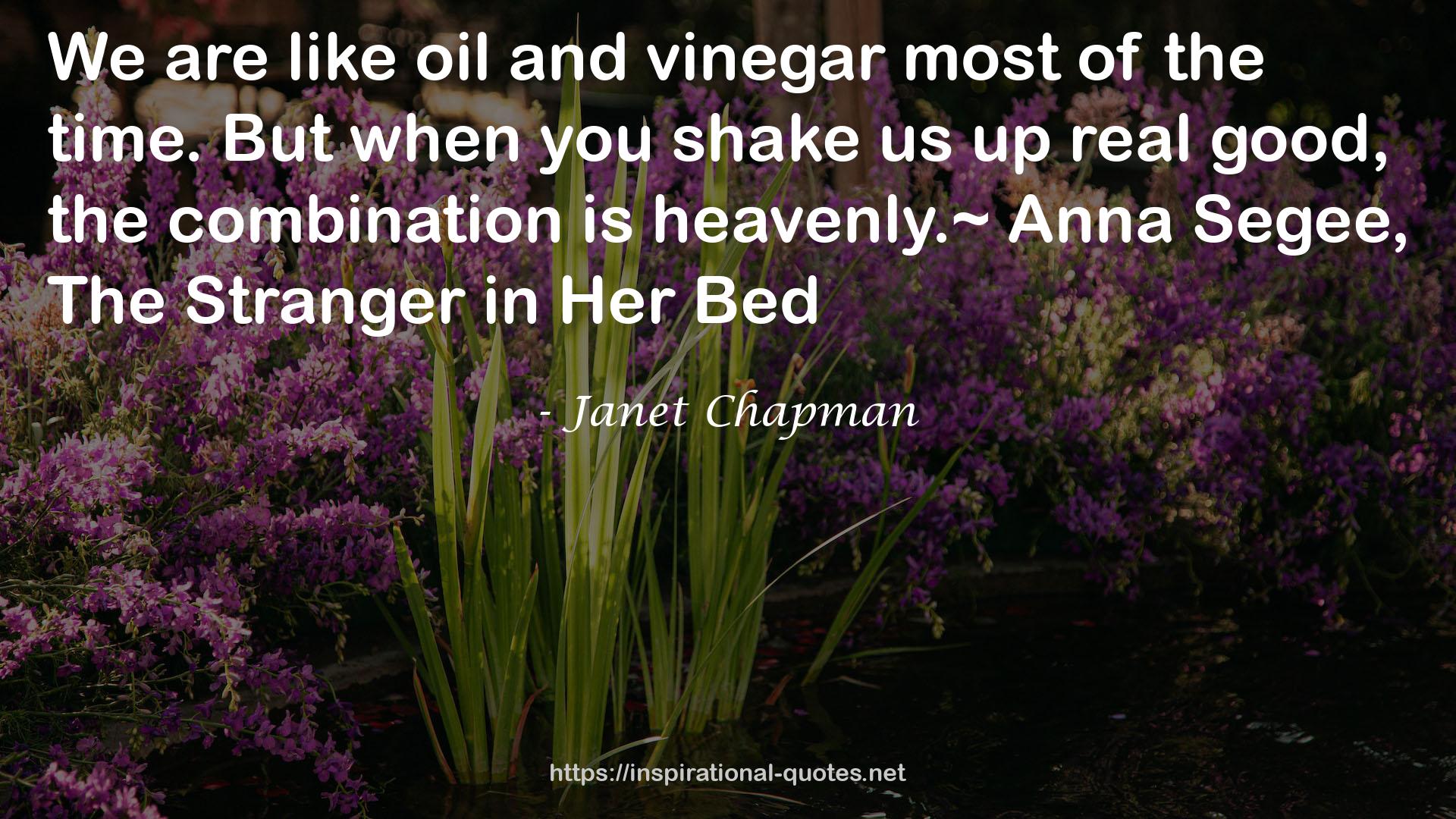 Janet Chapman QUOTES