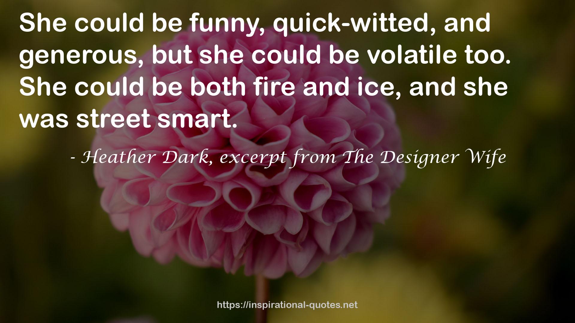 Heather Dark, excerpt from The Designer Wife QUOTES