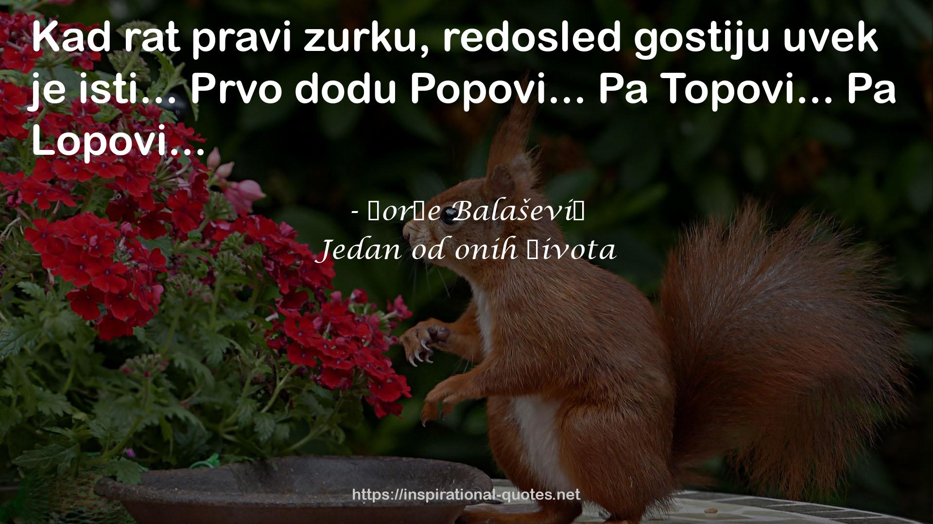 Đorđe Balašević QUOTES