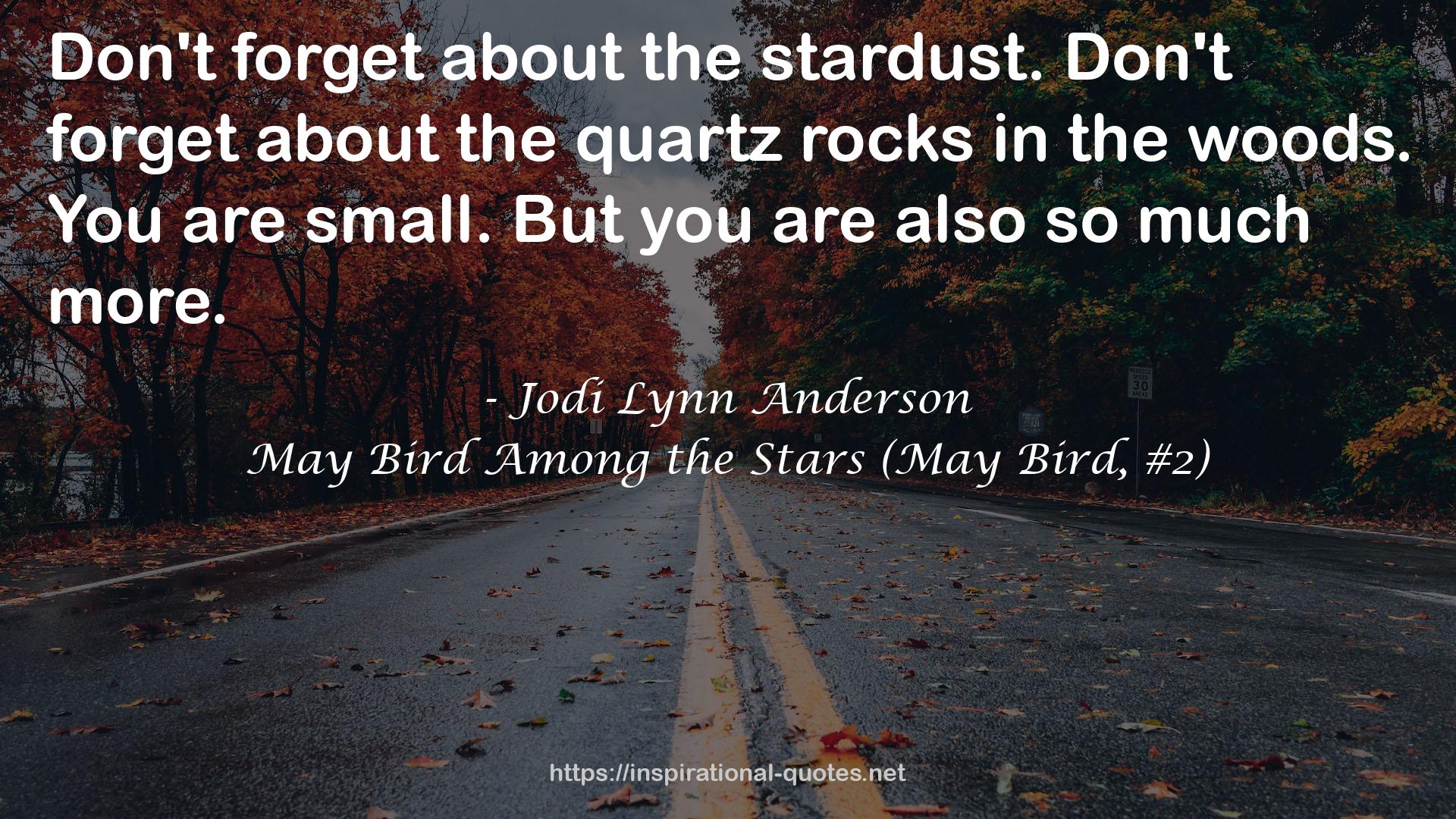 Jodi Lynn Anderson QUOTES