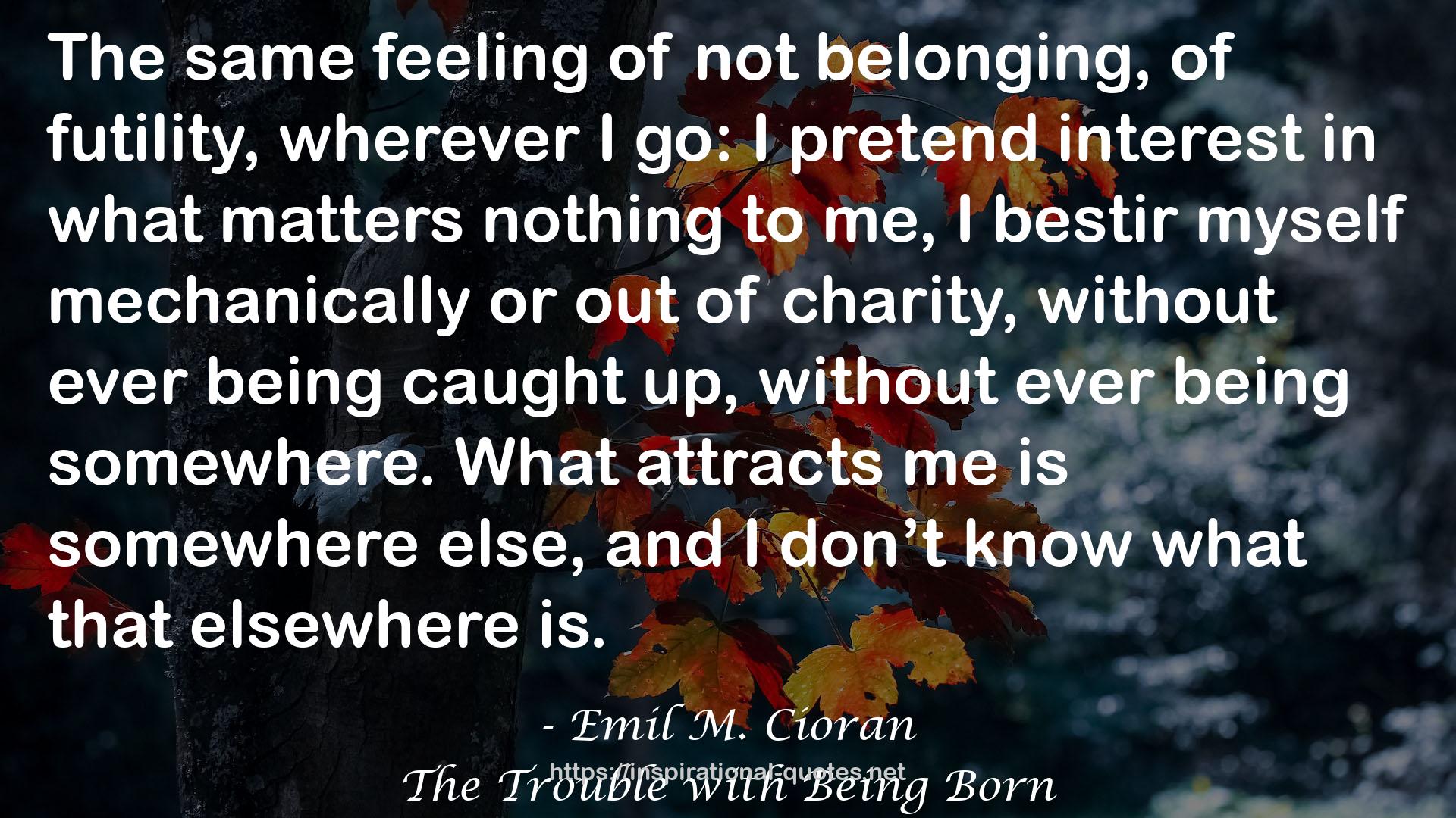 The Trouble with Being Born QUOTES