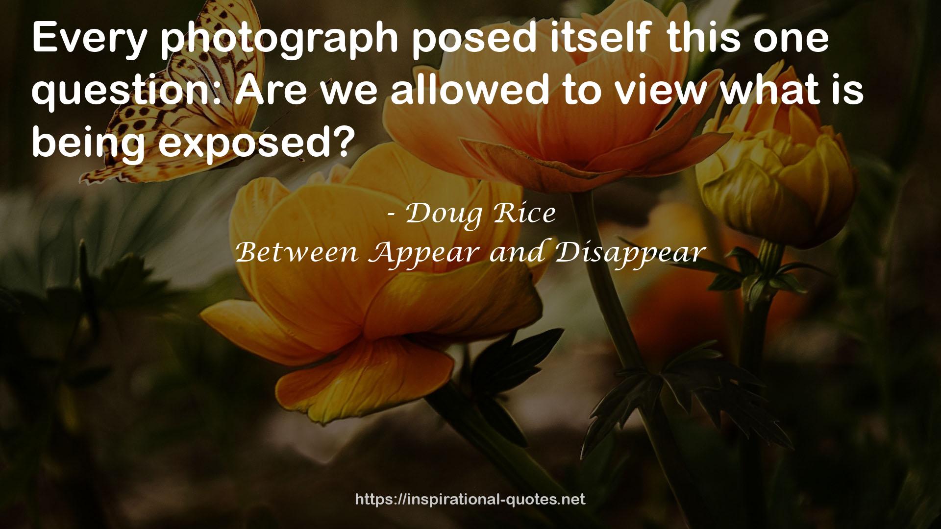 Between Appear and Disappear QUOTES