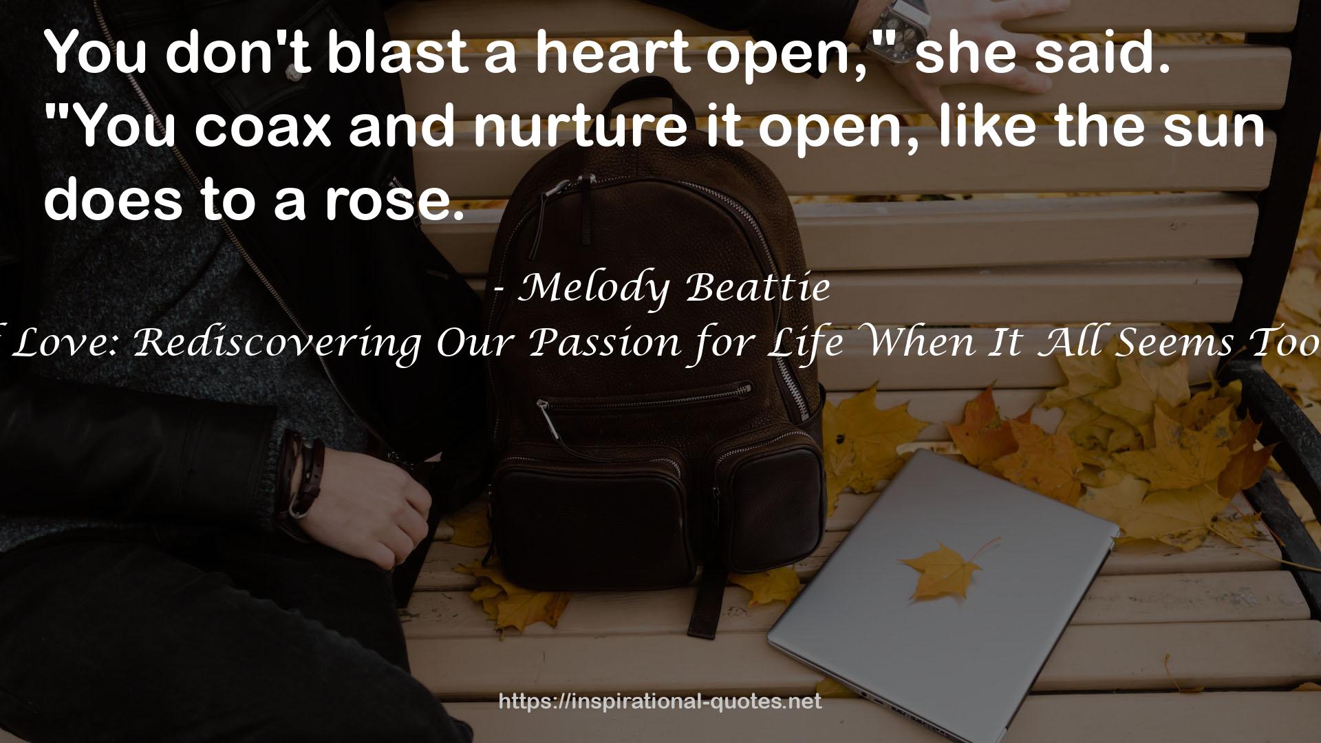 The Lessons of Love: Rediscovering Our Passion for Life When It All Seems Too Hard to Take QUOTES