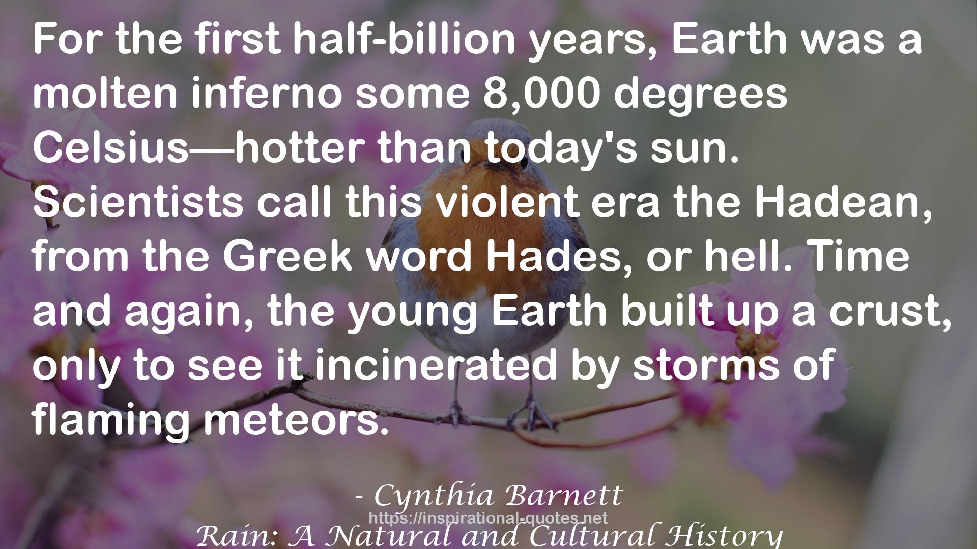 Cynthia Barnett QUOTES