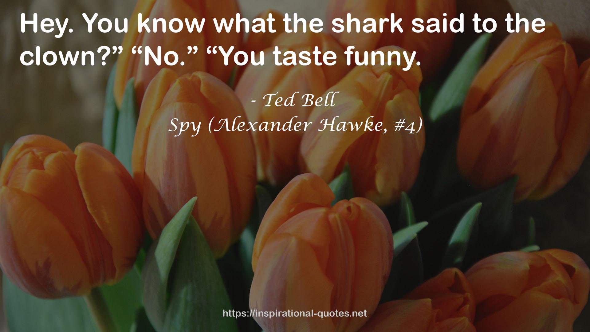 Spy (Alexander Hawke, #4) QUOTES