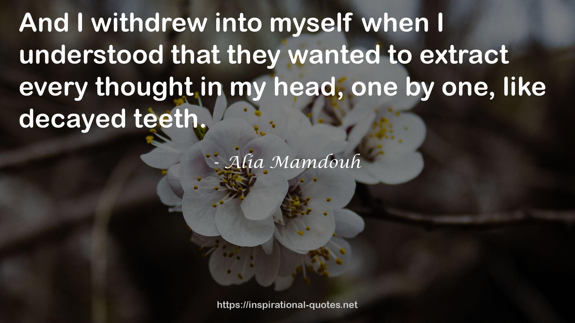 Alia Mamdouh QUOTES