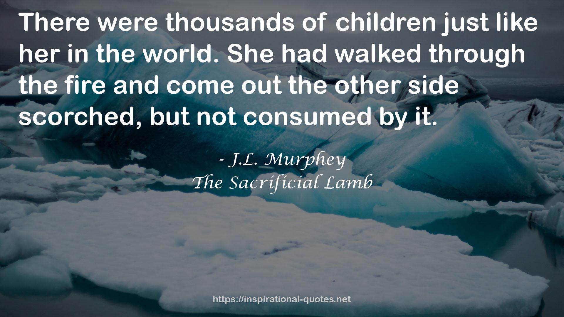 J.L. Murphey QUOTES