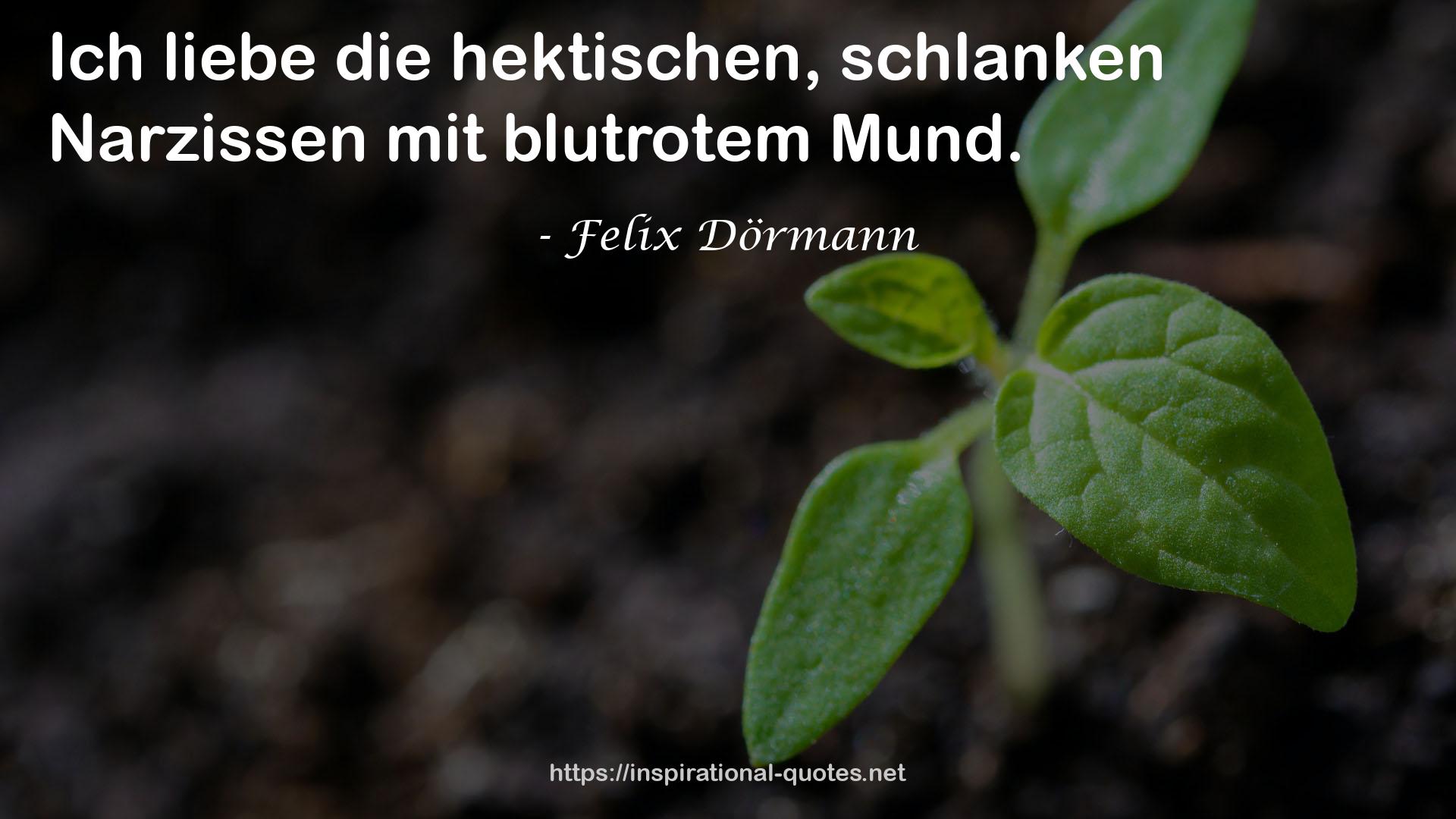 Felix Dörmann QUOTES