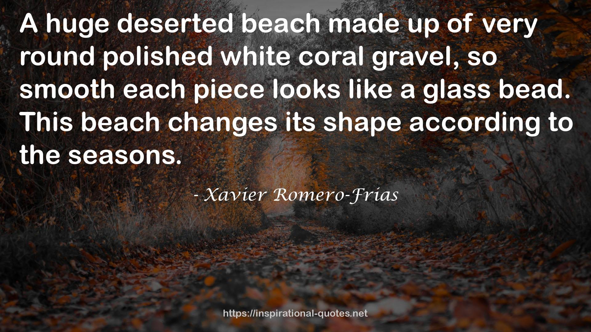 Xavier Romero-Frias QUOTES