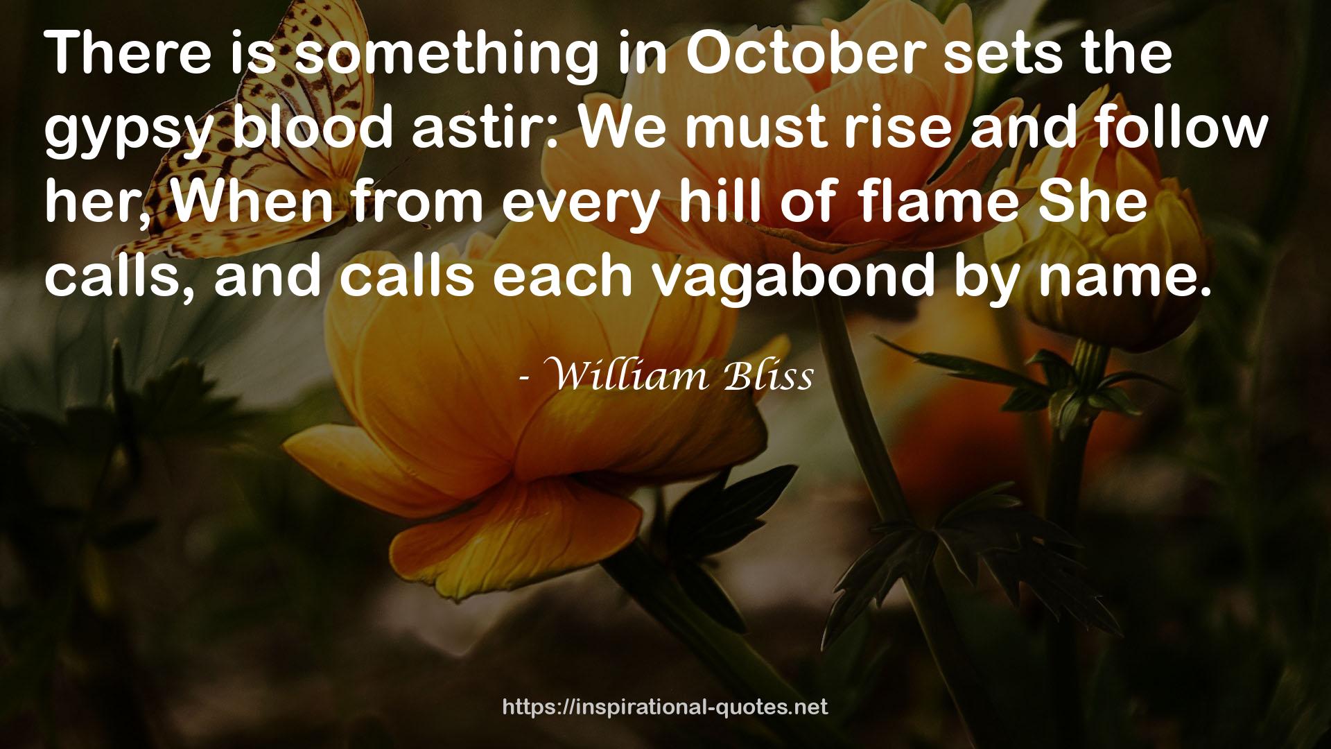 William Bliss QUOTES