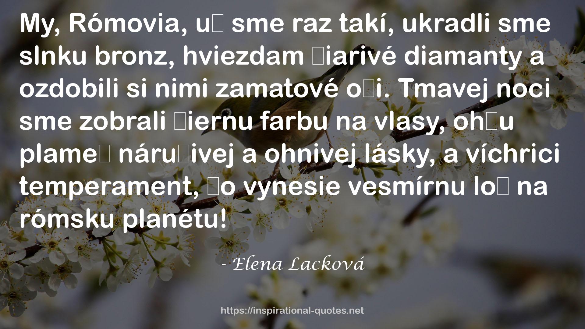 Elena Lacková QUOTES