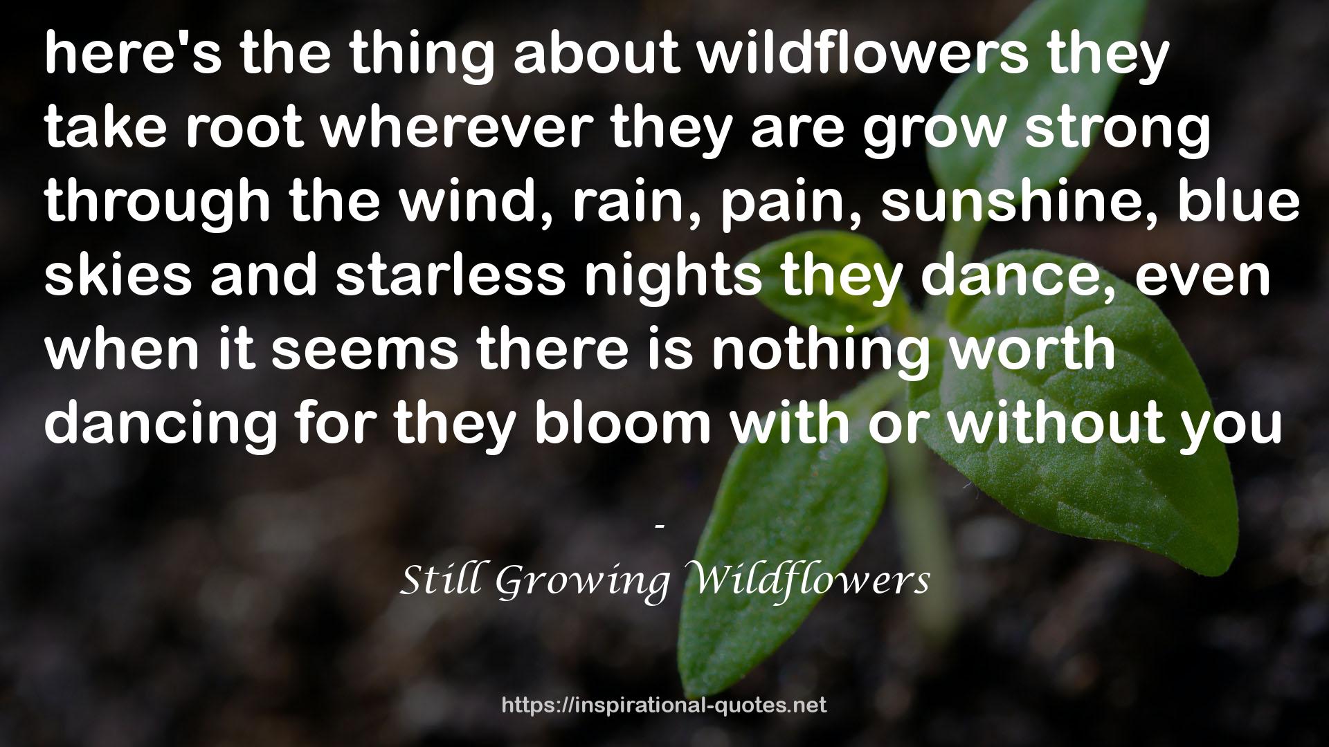 Still Growing Wildflowers QUOTES