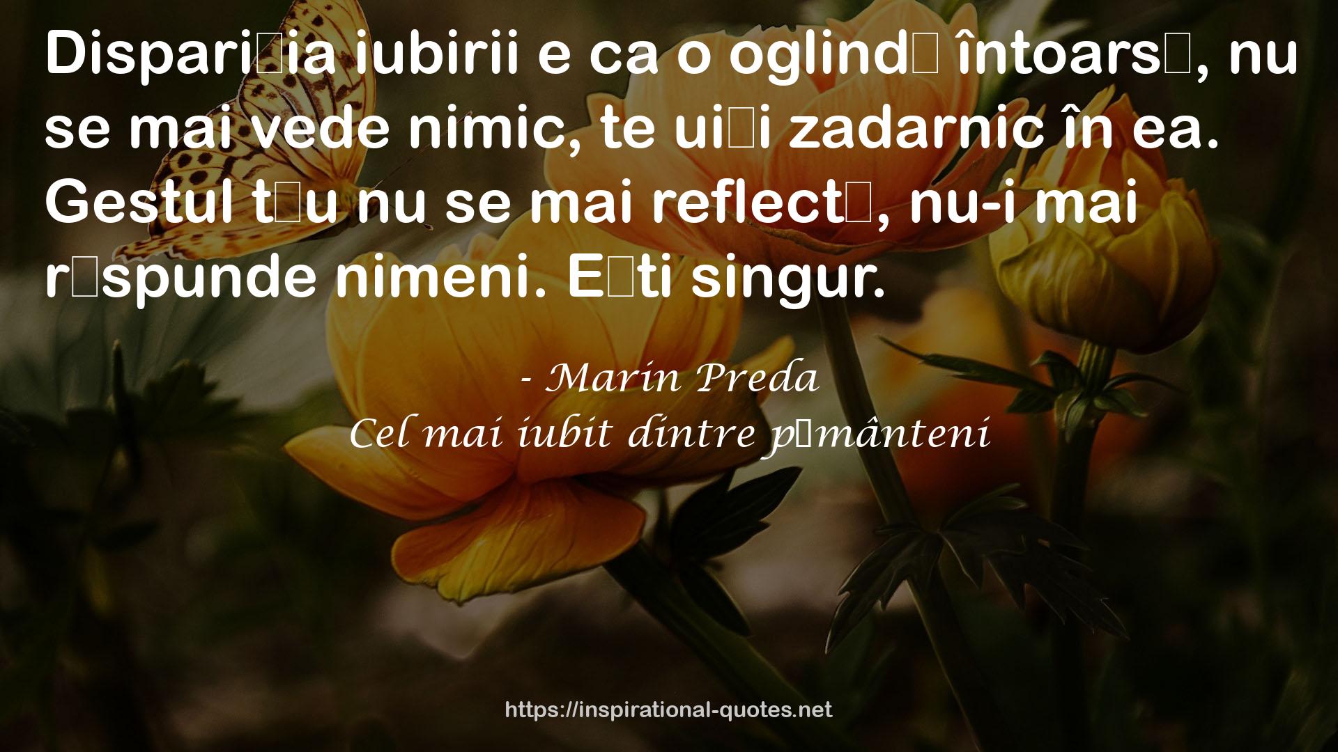 Cel mai iubit dintre pământeni QUOTES