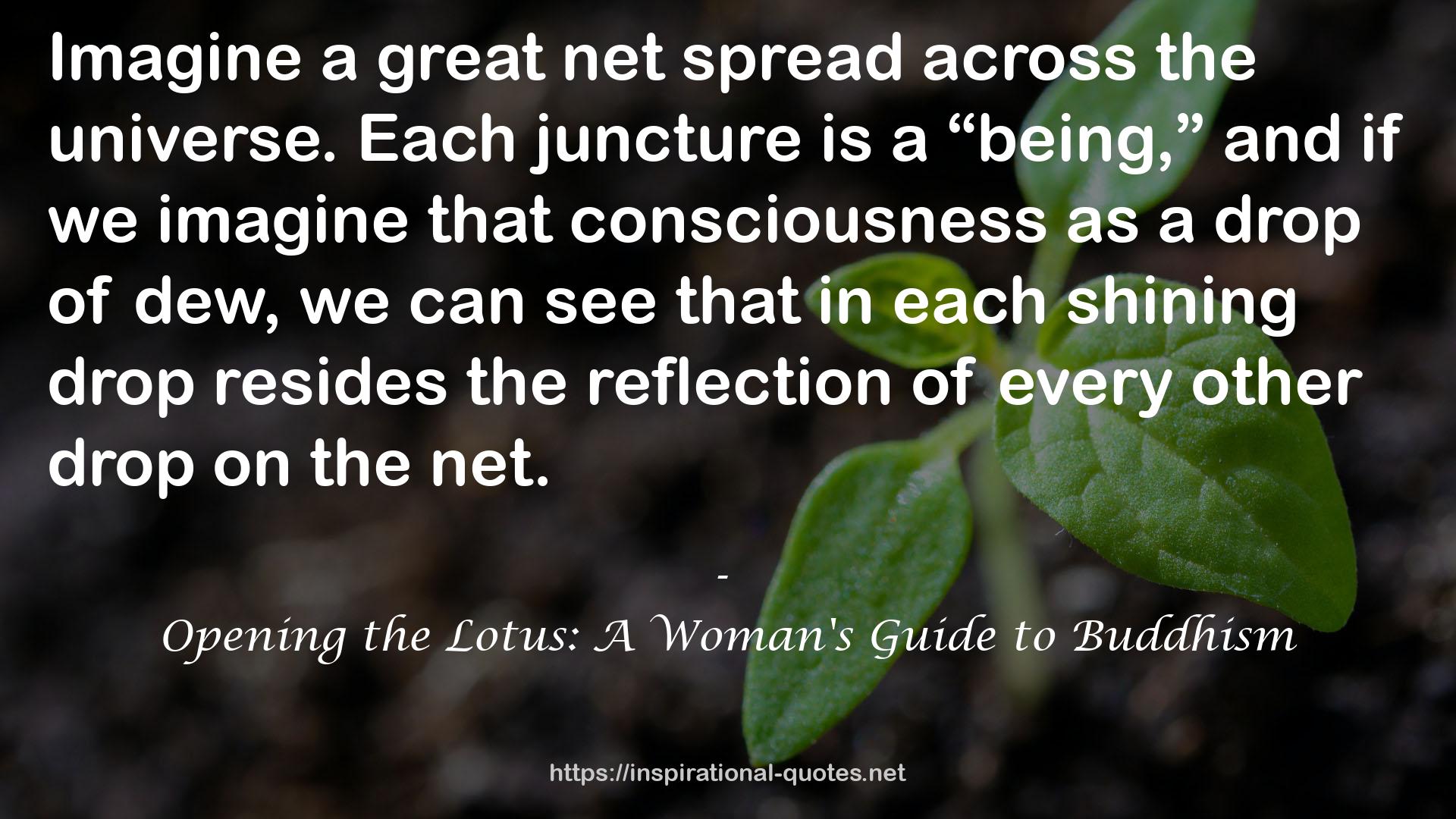 Opening the Lotus: A Woman's Guide to Buddhism QUOTES