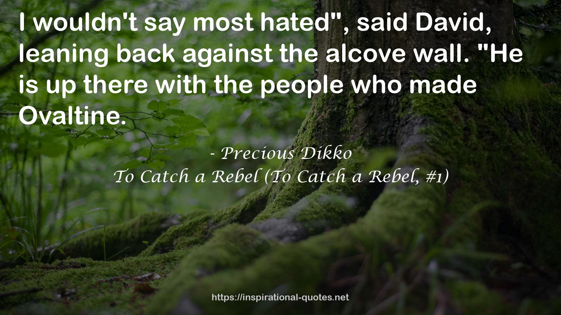 To Catch a Rebel (To Catch a Rebel, #1) QUOTES