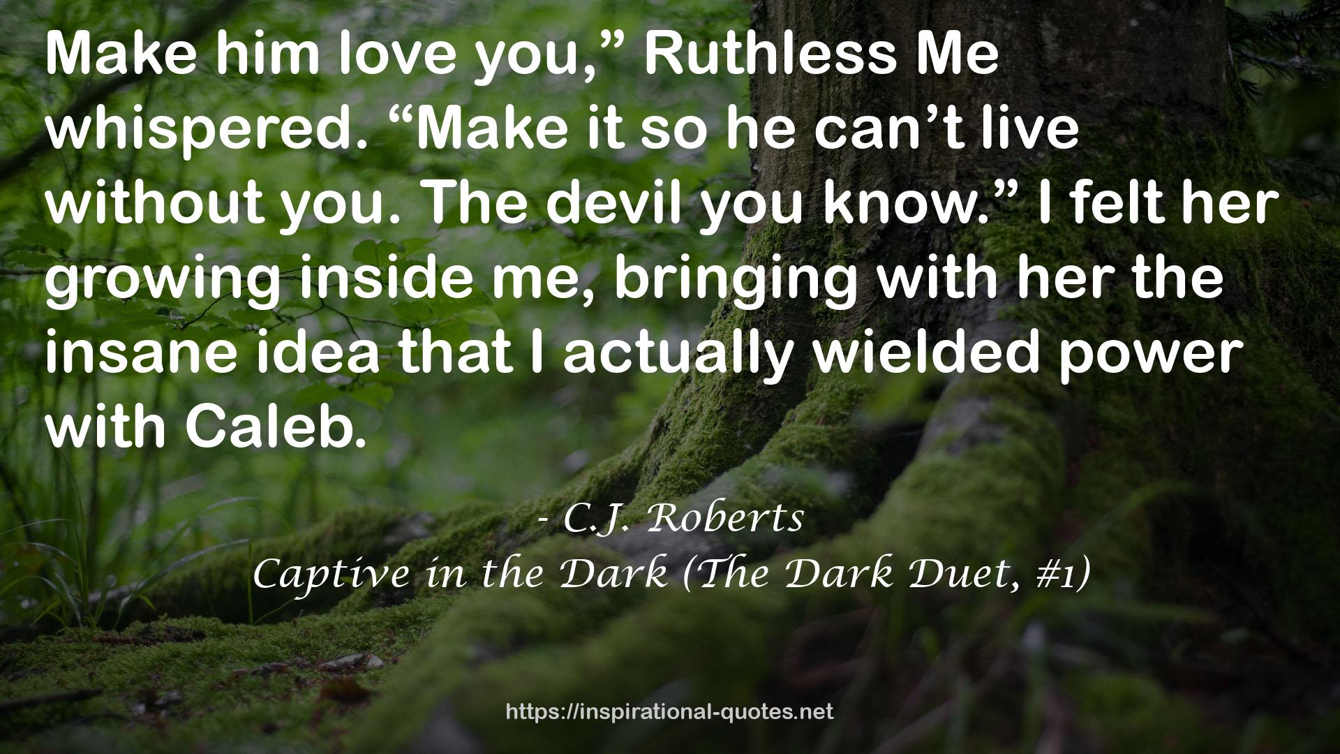 Captive in the Dark (The Dark Duet, #1) QUOTES