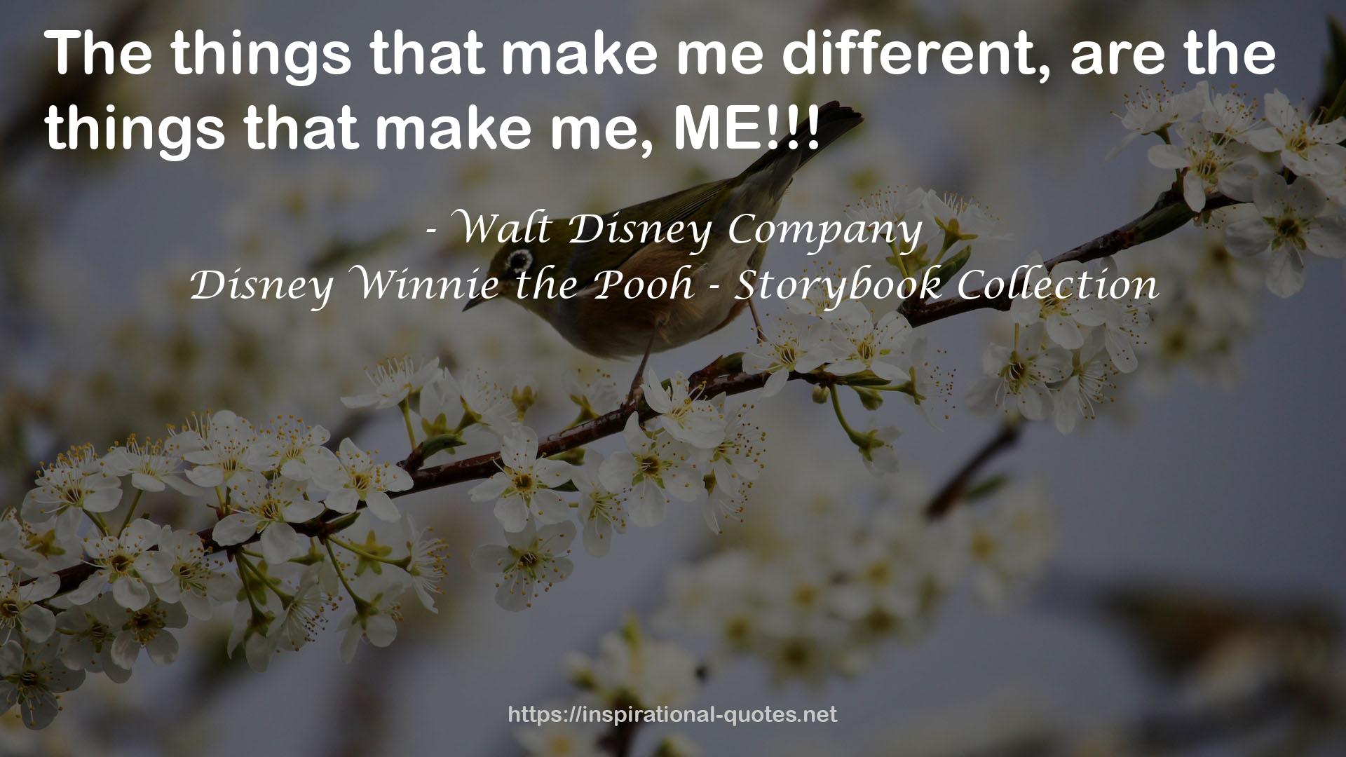 Disney Winnie the Pooh - Storybook Collection QUOTES