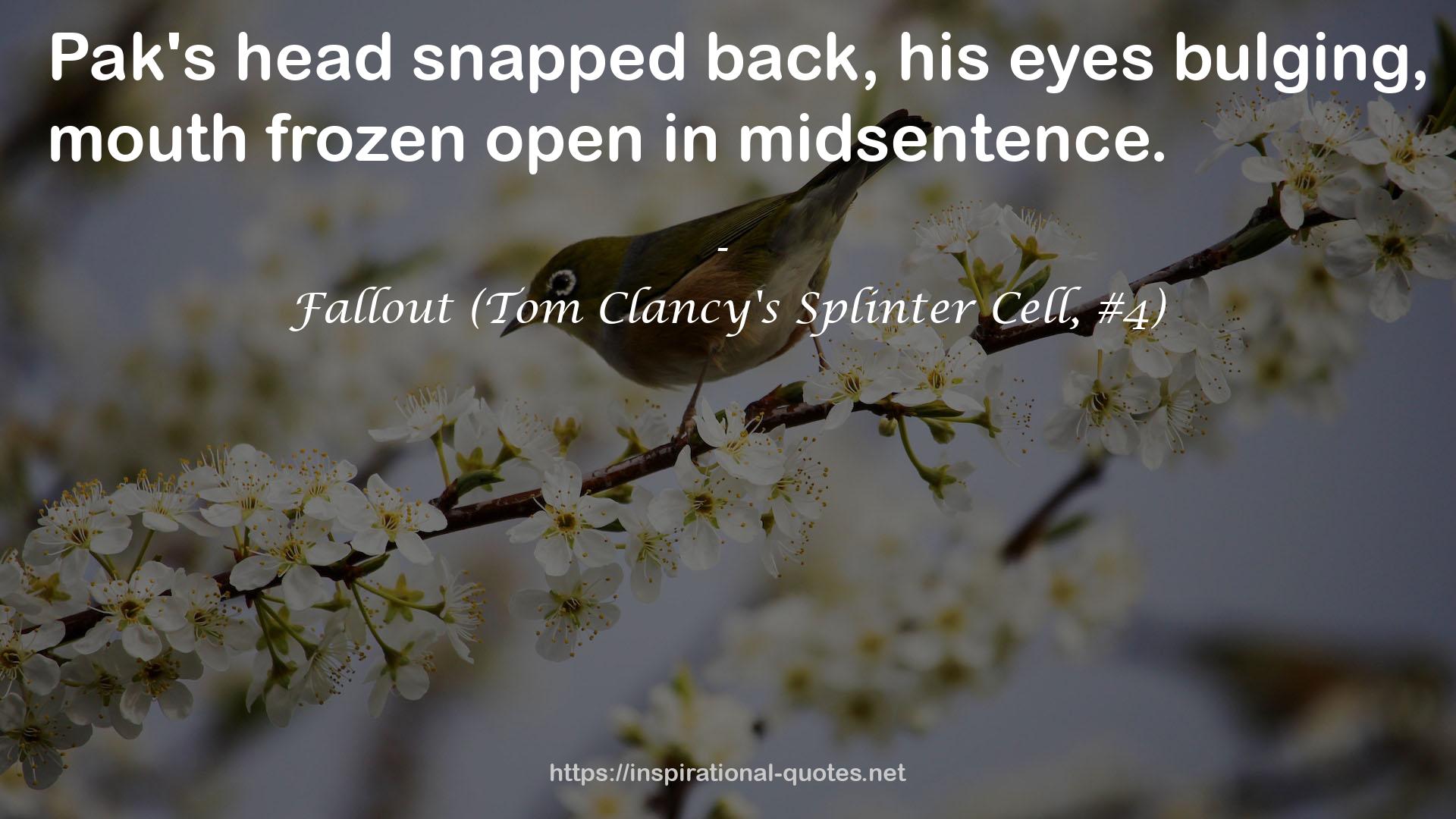 Fallout (Tom Clancy's Splinter Cell, #4) QUOTES
