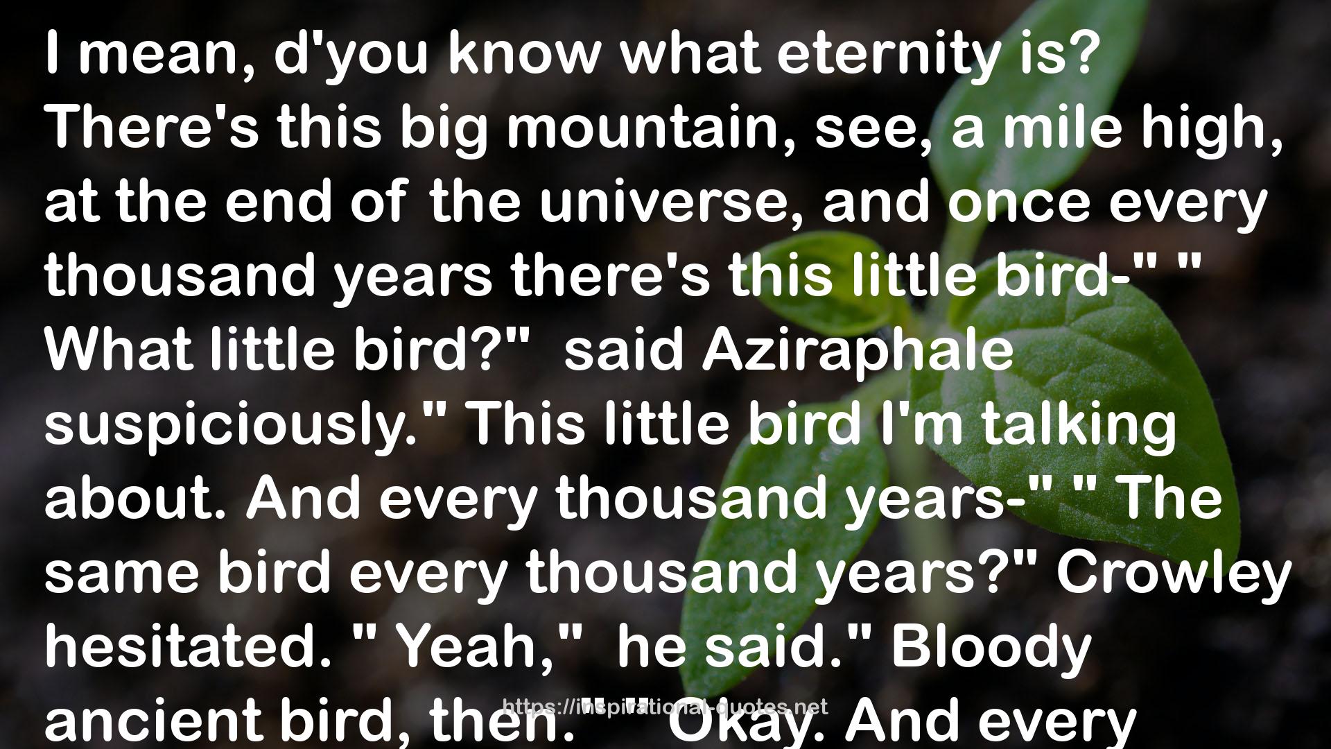 this bird  QUOTES