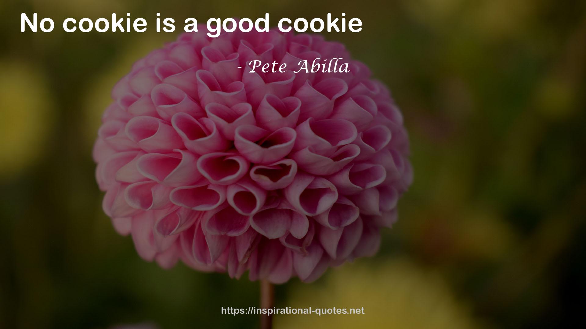 Pete Abilla QUOTES