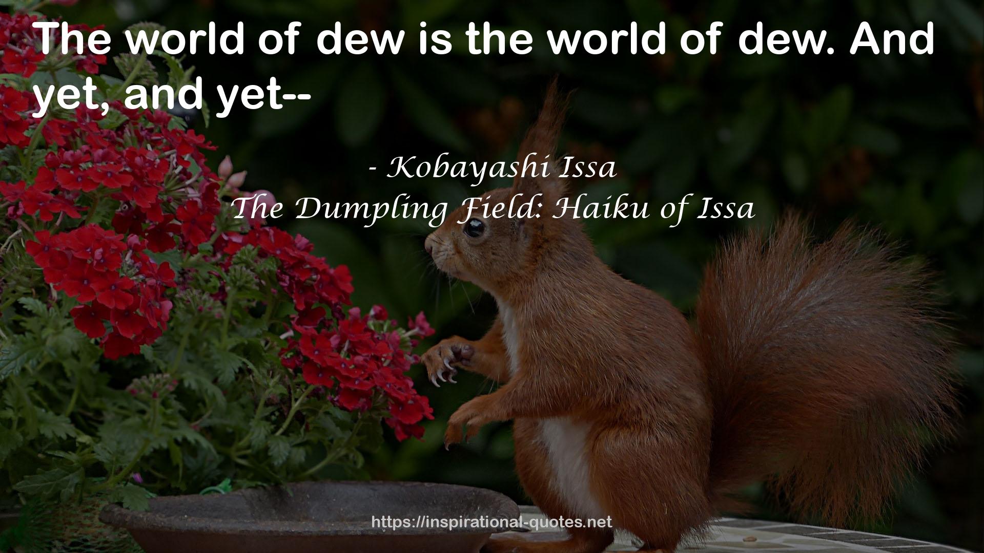 The Dumpling Field: Haiku of Issa QUOTES