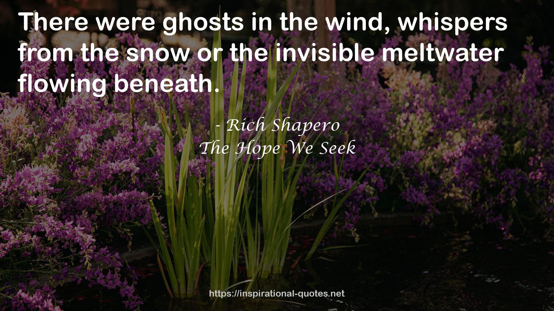 The Hope We Seek QUOTES