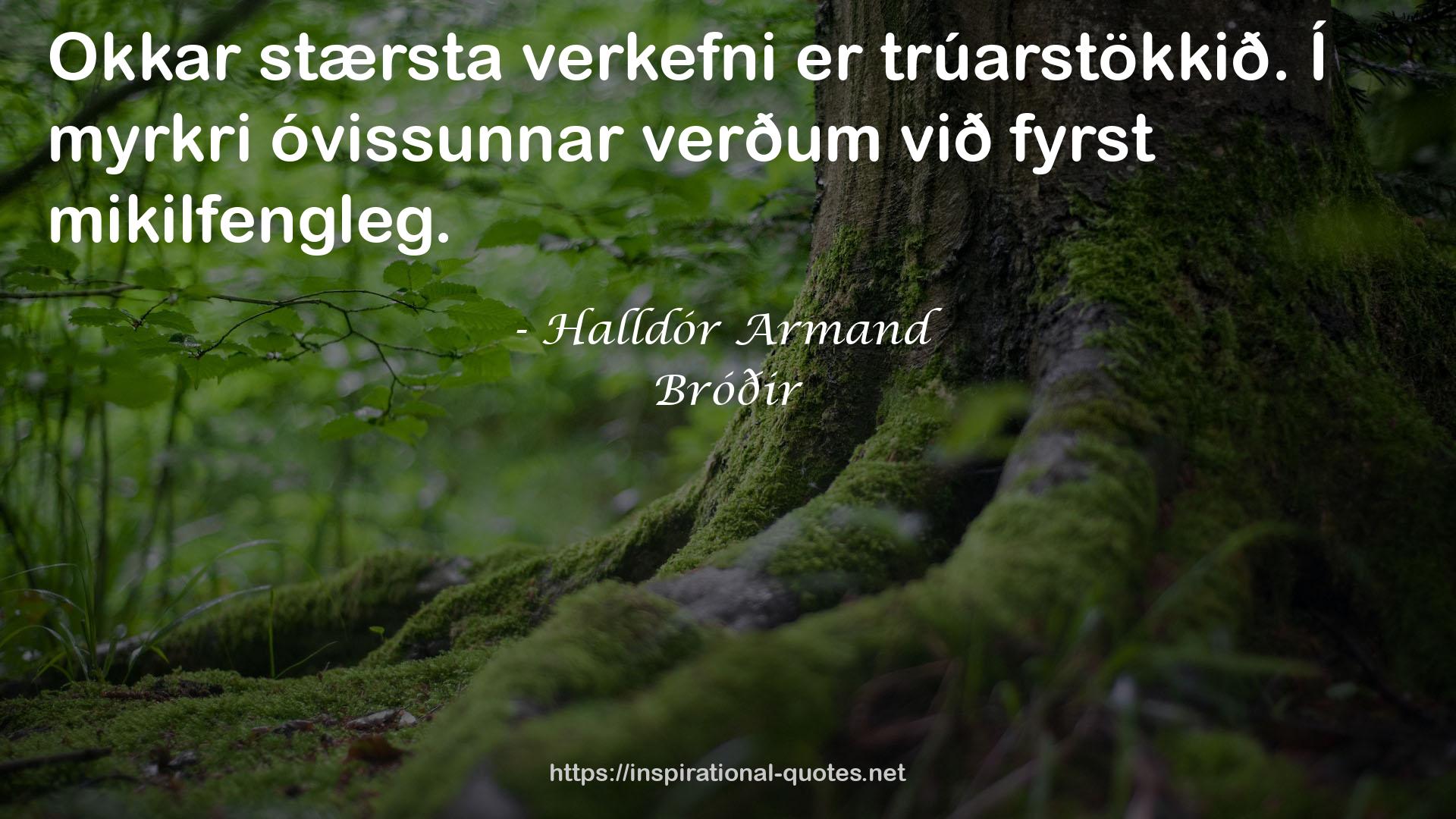 Bróðir QUOTES