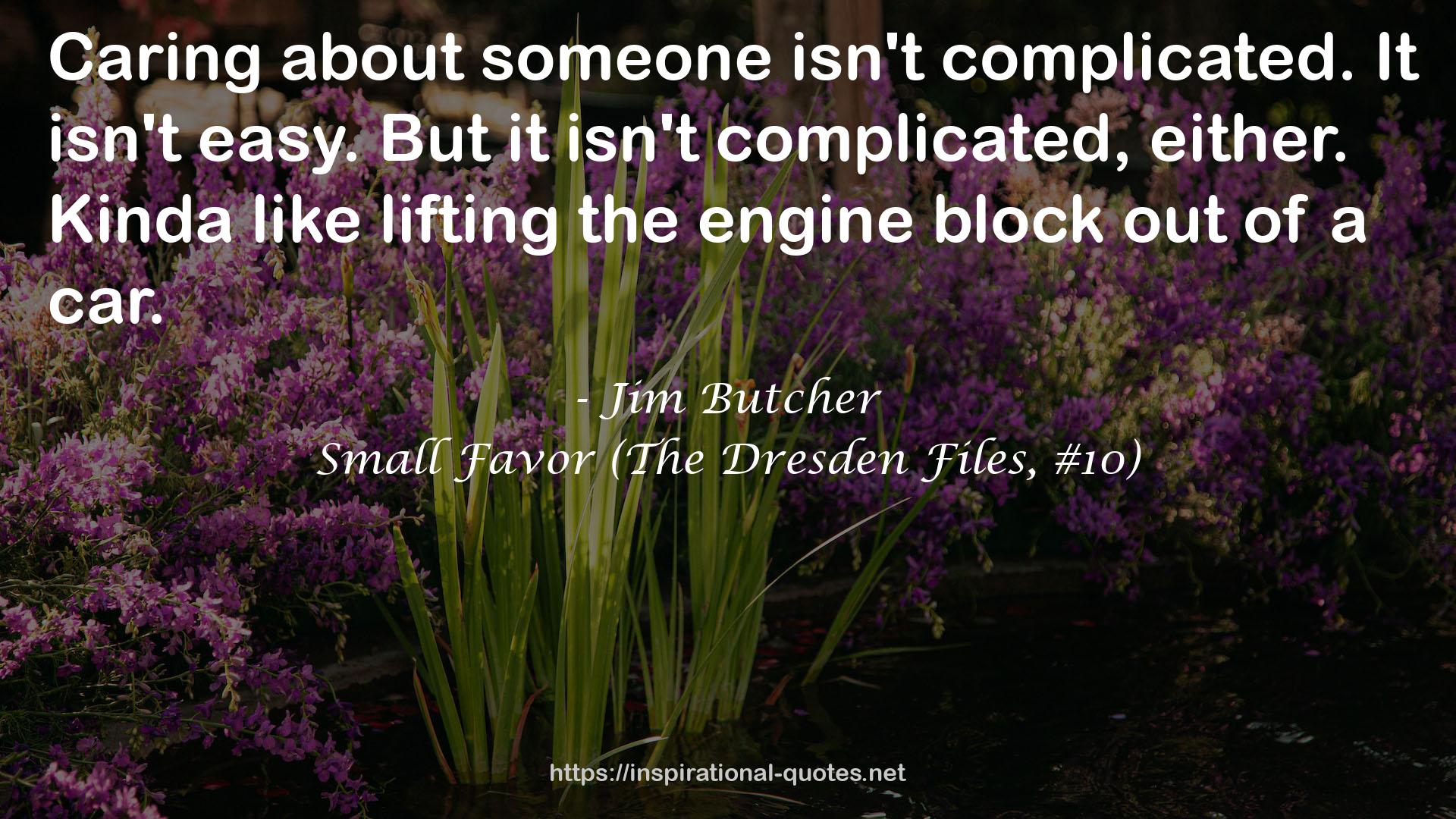 Small Favor (The Dresden Files, #10) QUOTES