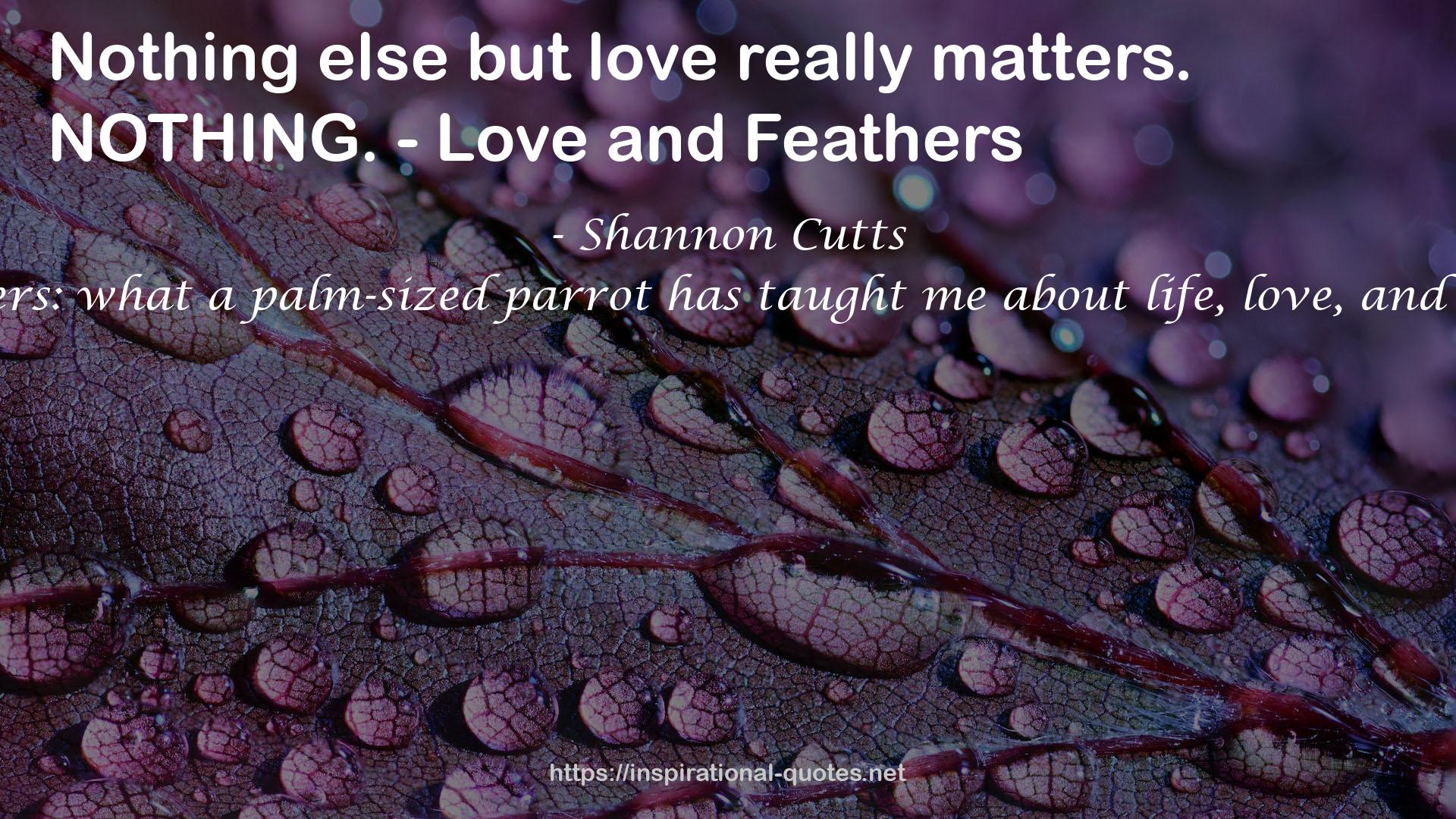 Love & Feathers: what a palm-sized parrot has taught me about life, love, and healthy self-esteem QUOTES