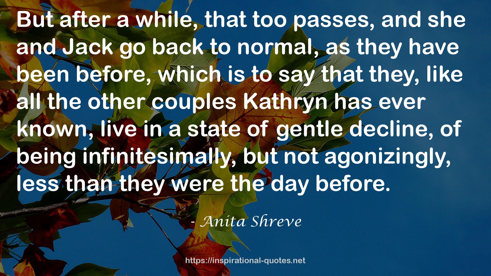 Anita Shreve QUOTES