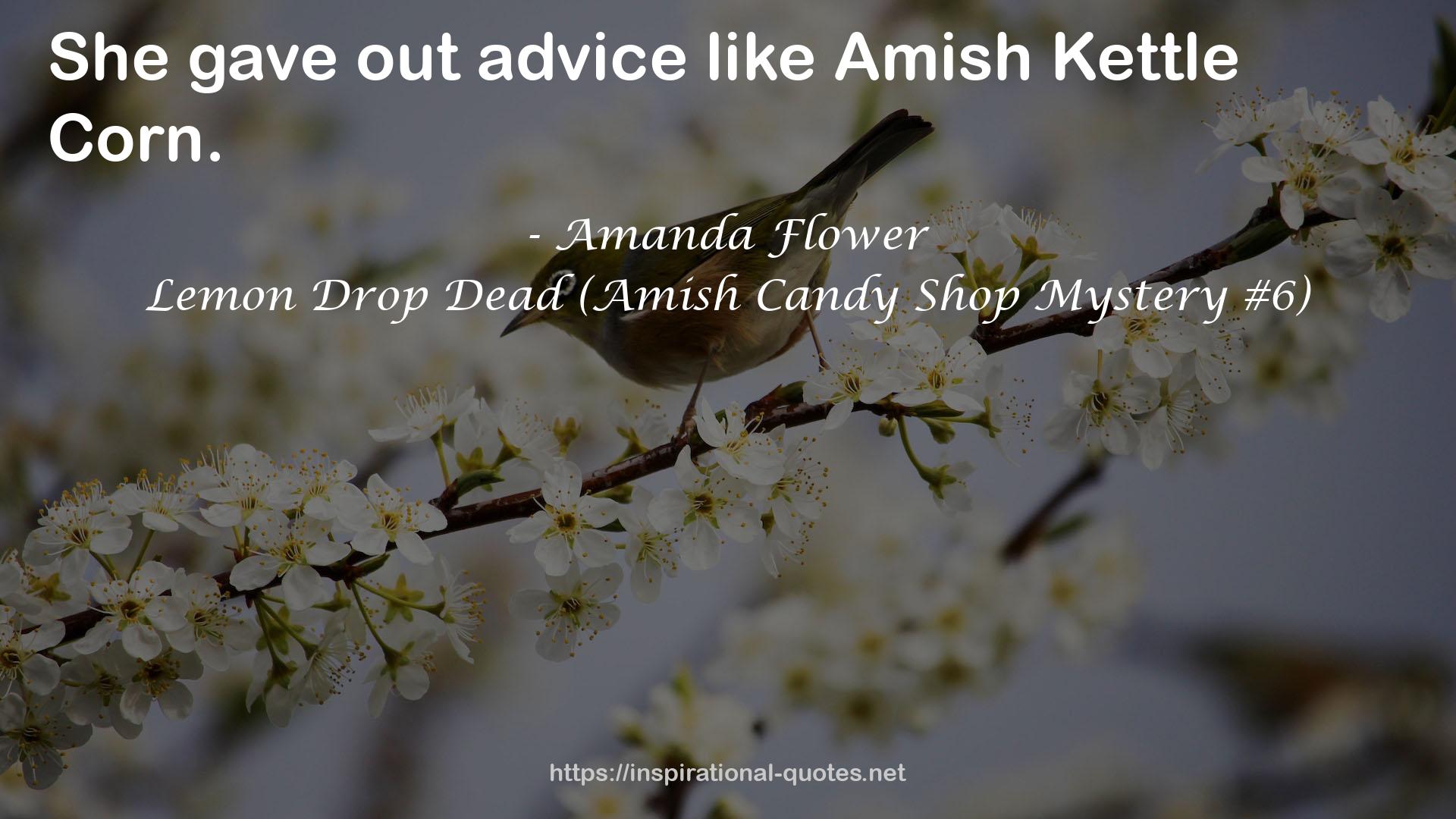 Lemon Drop Dead (Amish Candy Shop Mystery #6) QUOTES