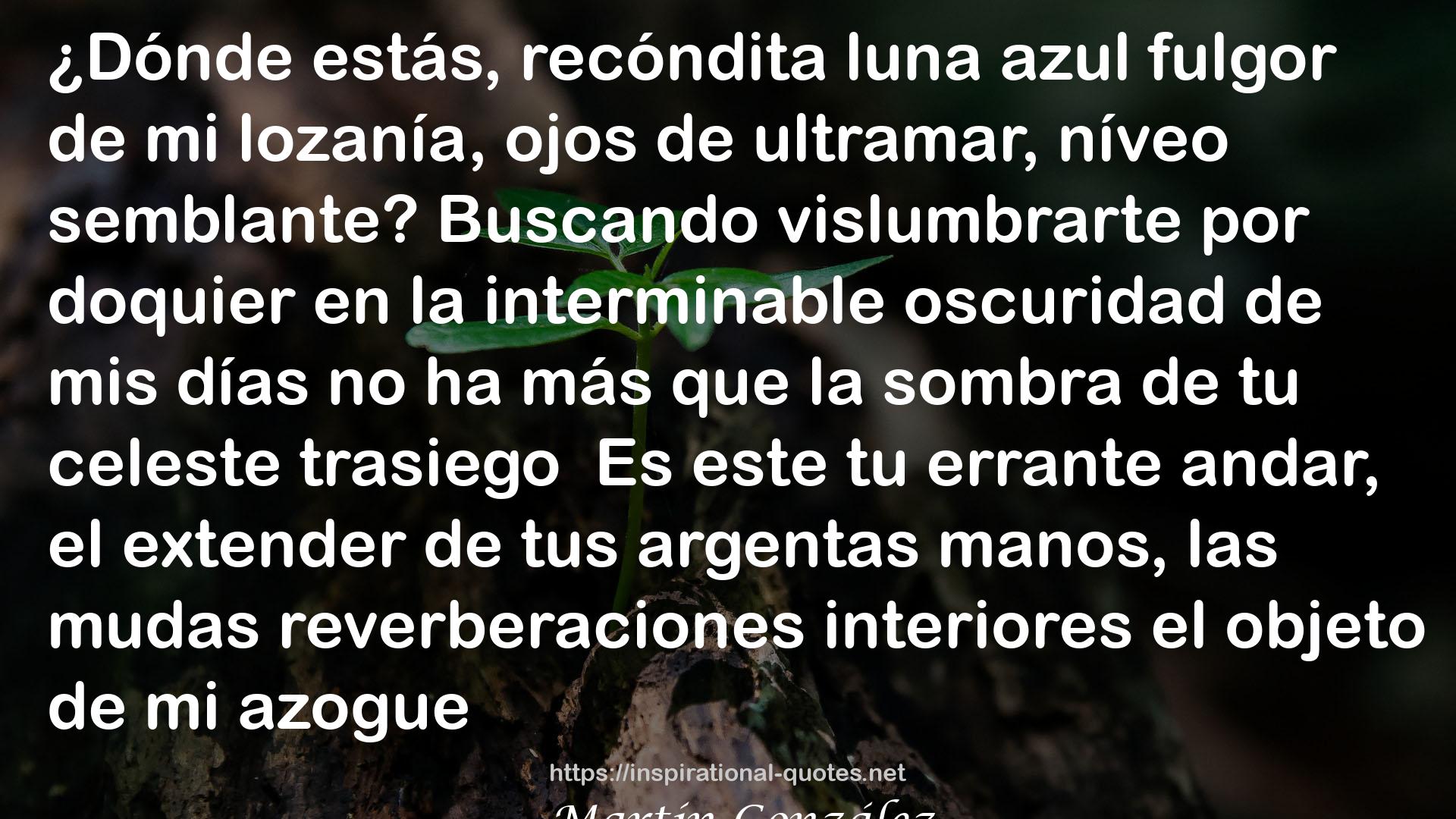 Martín González QUOTES