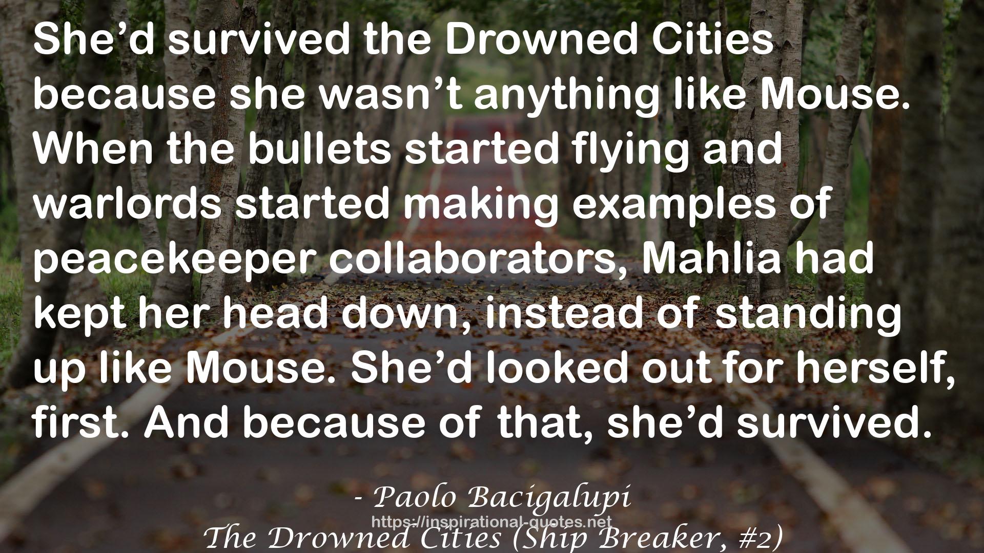 The Drowned Cities (Ship Breaker, #2) QUOTES