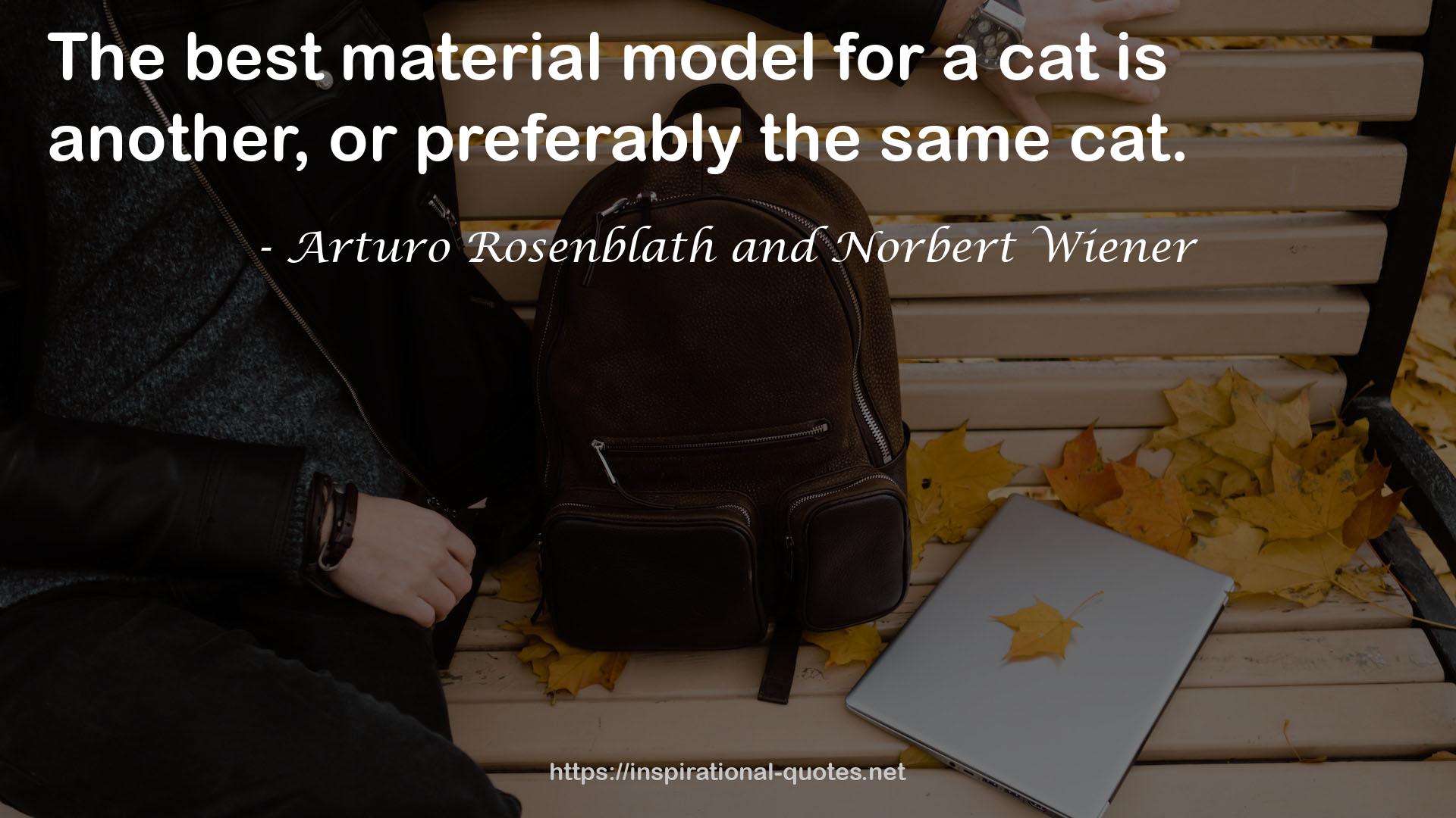 Arturo Rosenblath and Norbert Wiener QUOTES